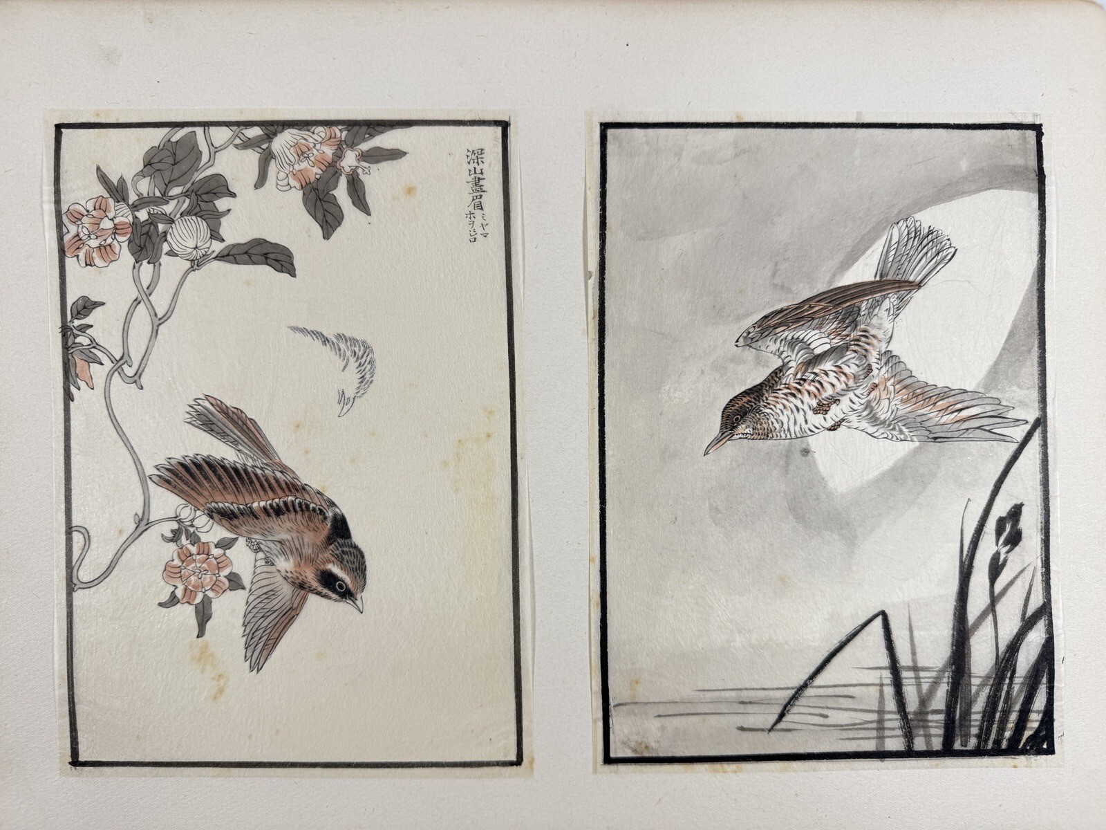 Japanese Drawing Book “Kachoshu” Picture of birds and flowers 49 illustration