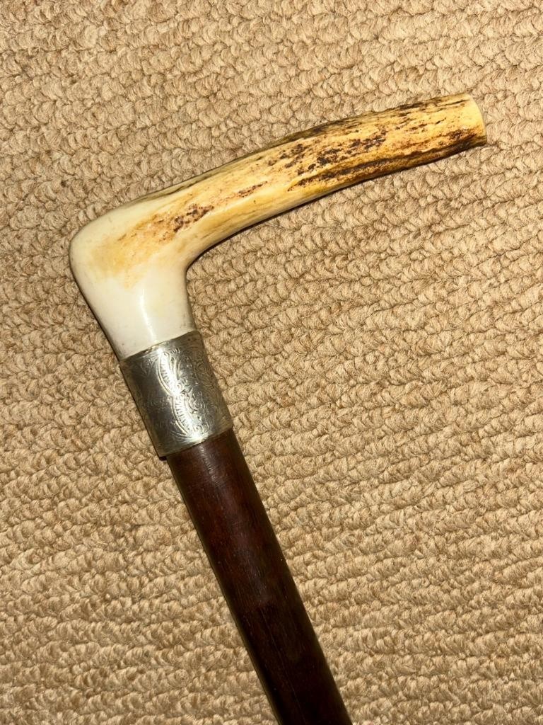 Victorian Snakewood Walking Stick – Antler Fritz Handle & Hallmarked 1892 Silver