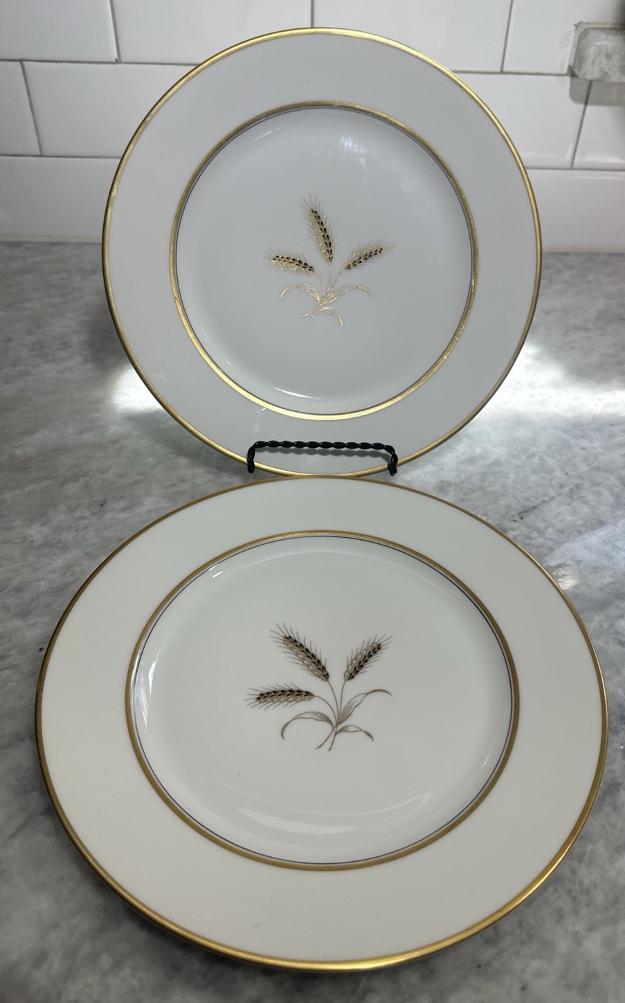 Rosenthal Bountiful Wheat 10” Dinner Plates ~ Set of 2 ~ Circa 1966