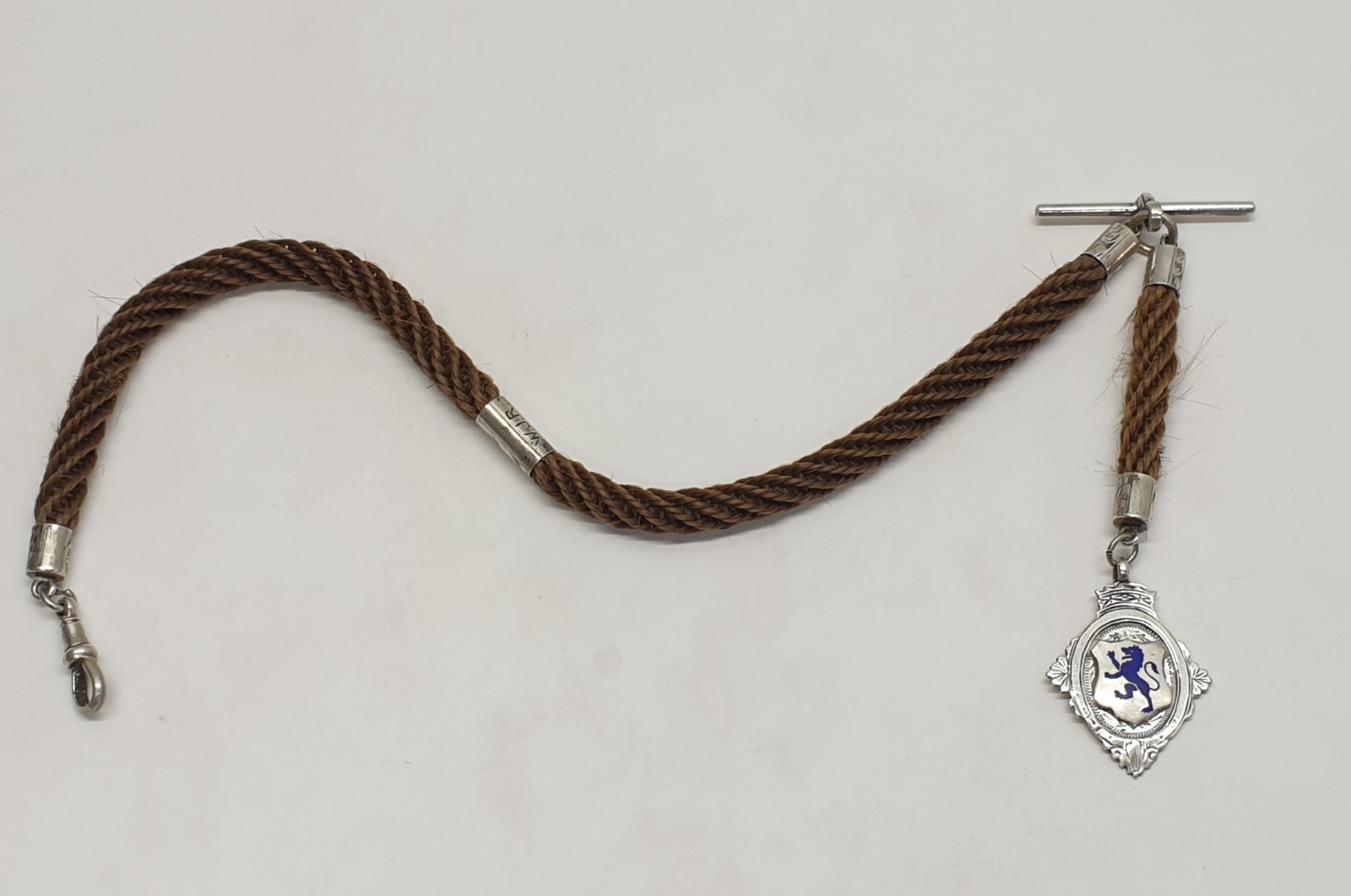 Sterling Silver Wales Crest Fob Medal with Hair Rope Chain by F H Adams Ltd 1911