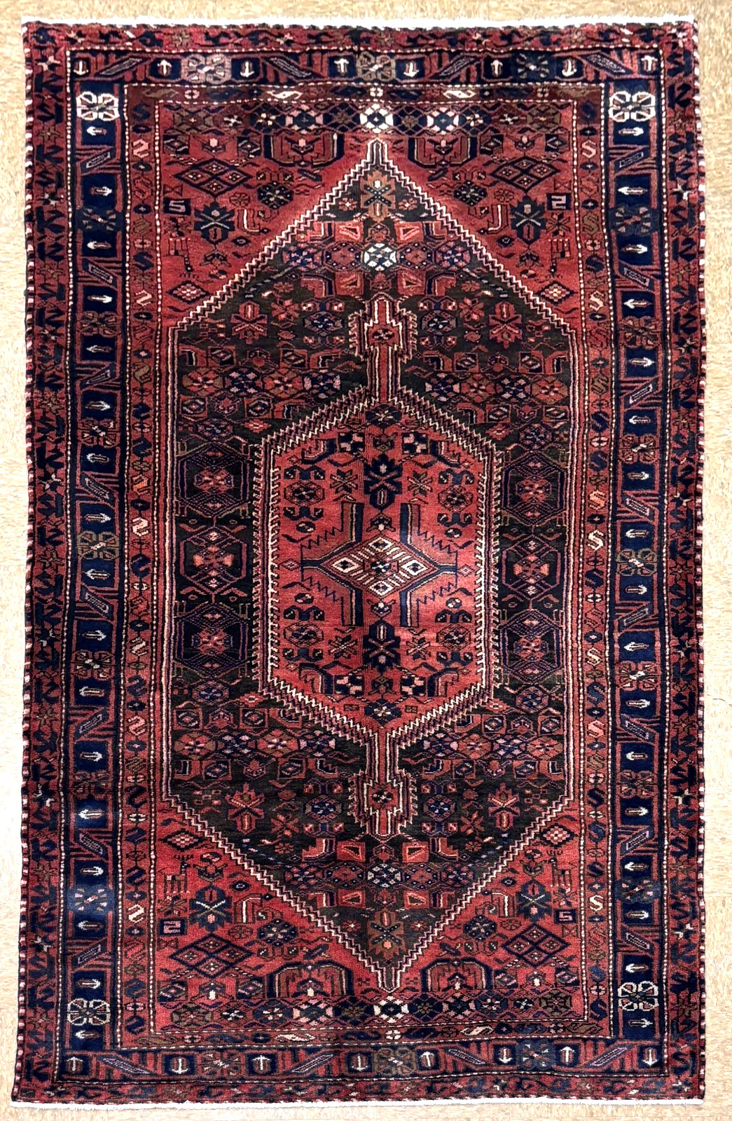 Hand Knotted Hamedan Vintage Wool Rug 5×10 Brown Tribal Geometric Area