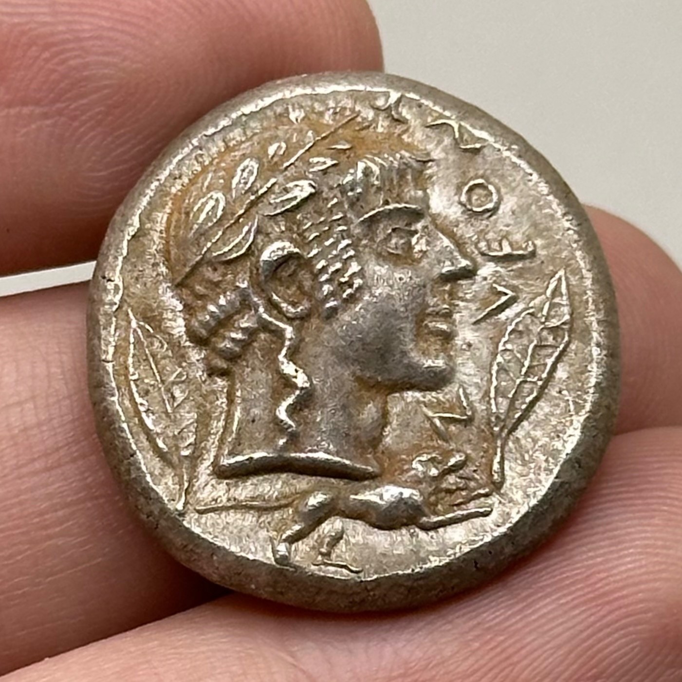 Ancient Greek Tetradrachm – Leontini Coin