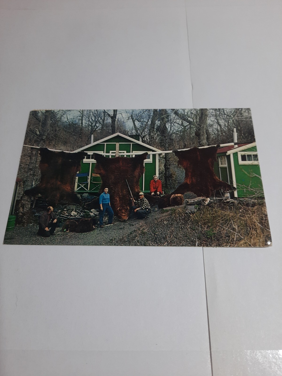 Postcard Alaskan Kodiak Bear Pelts Uganik Camp Kodiak AK