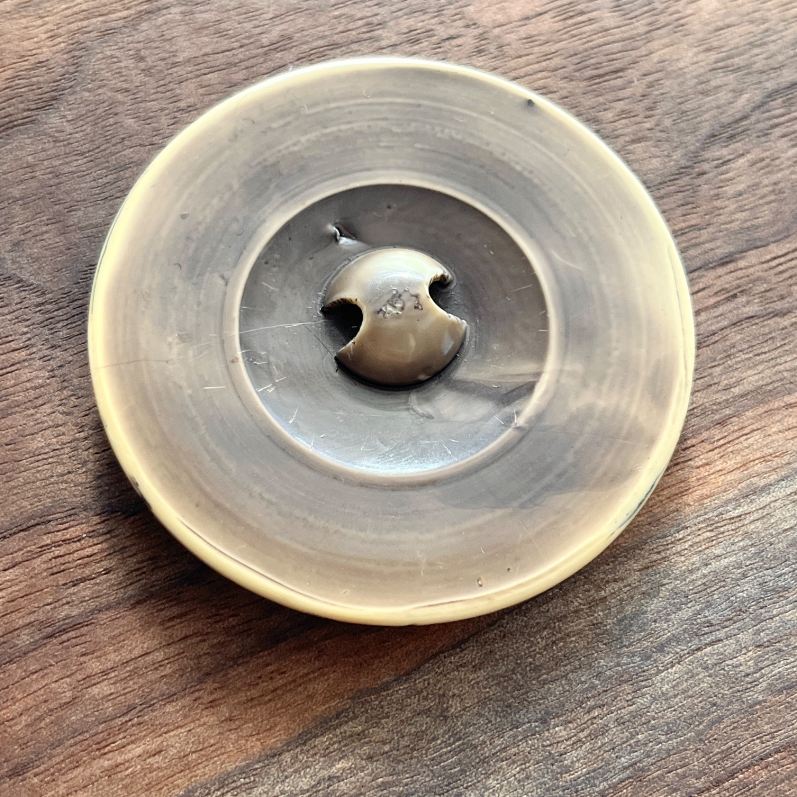 Antique Large Celluloid Sand Dollar Button Coat Button 1920’s 1930’s 2-3/16″