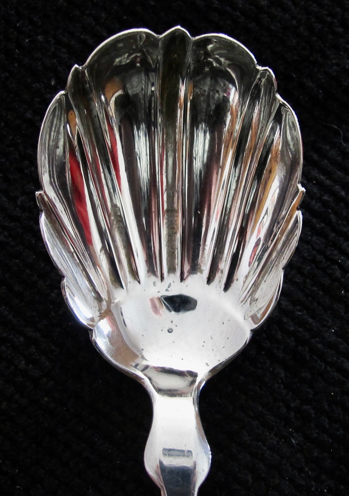 Antique Sterling Silver HOTCHKISS & SCHREUDER Scallop Shell Bowl Sugar Spoon
