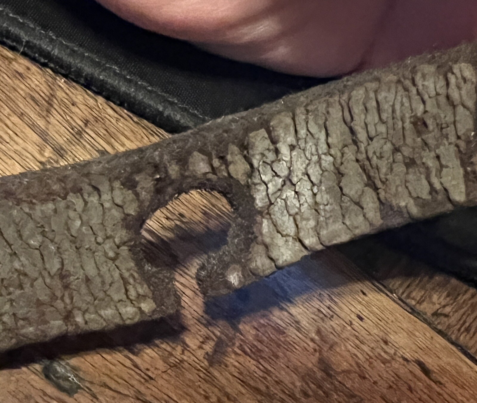 Antique Worn Leather Horse Strap w/ 23 #2 Decorated Brass Sleigh Bells