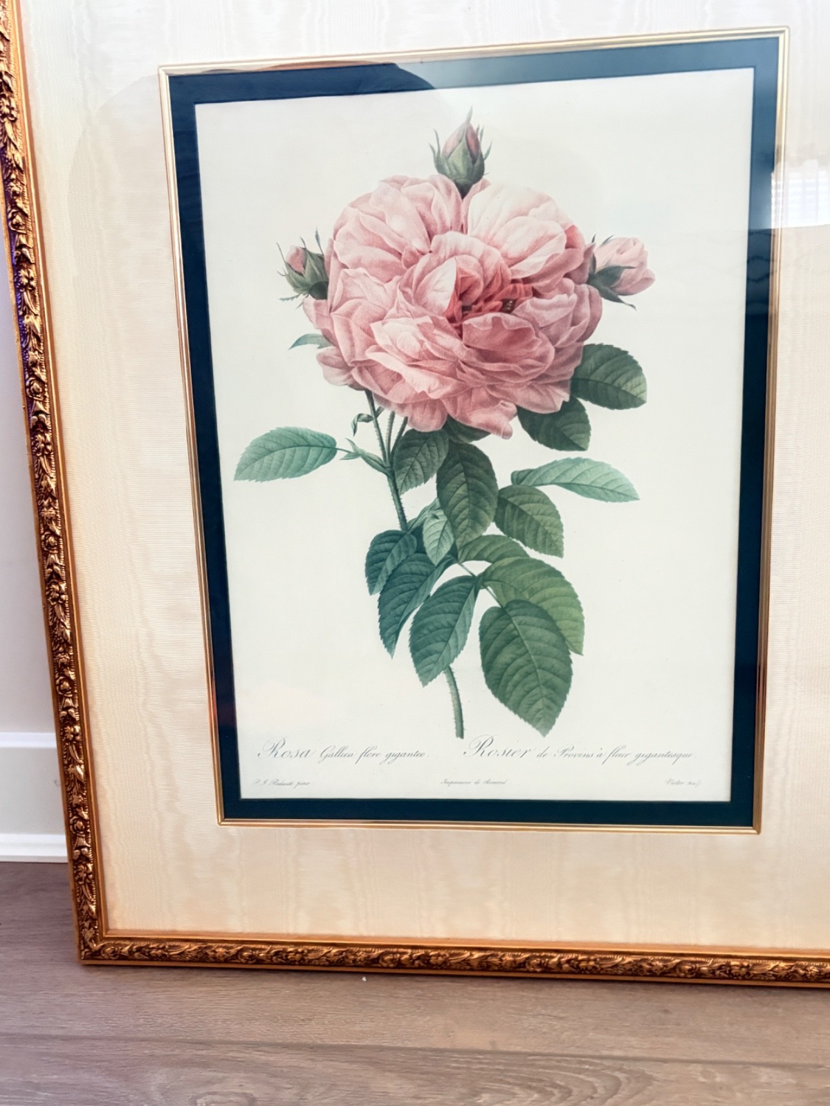 Rosa Damascena Pierre-Joseph Redouté (1759-1840) réplicas from Bombay store .