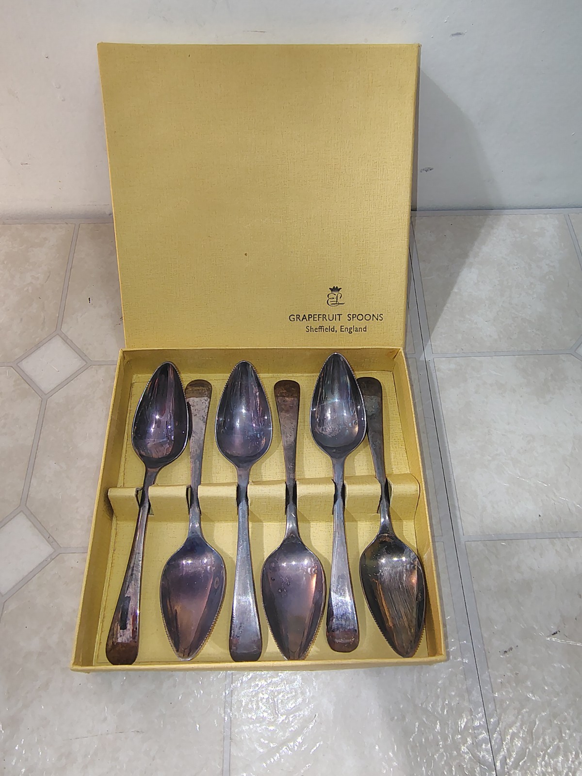 Tipped Serrated Grapefruit Sheffield England EPNS Silver Spoons 6 pc ~Orig Box!~