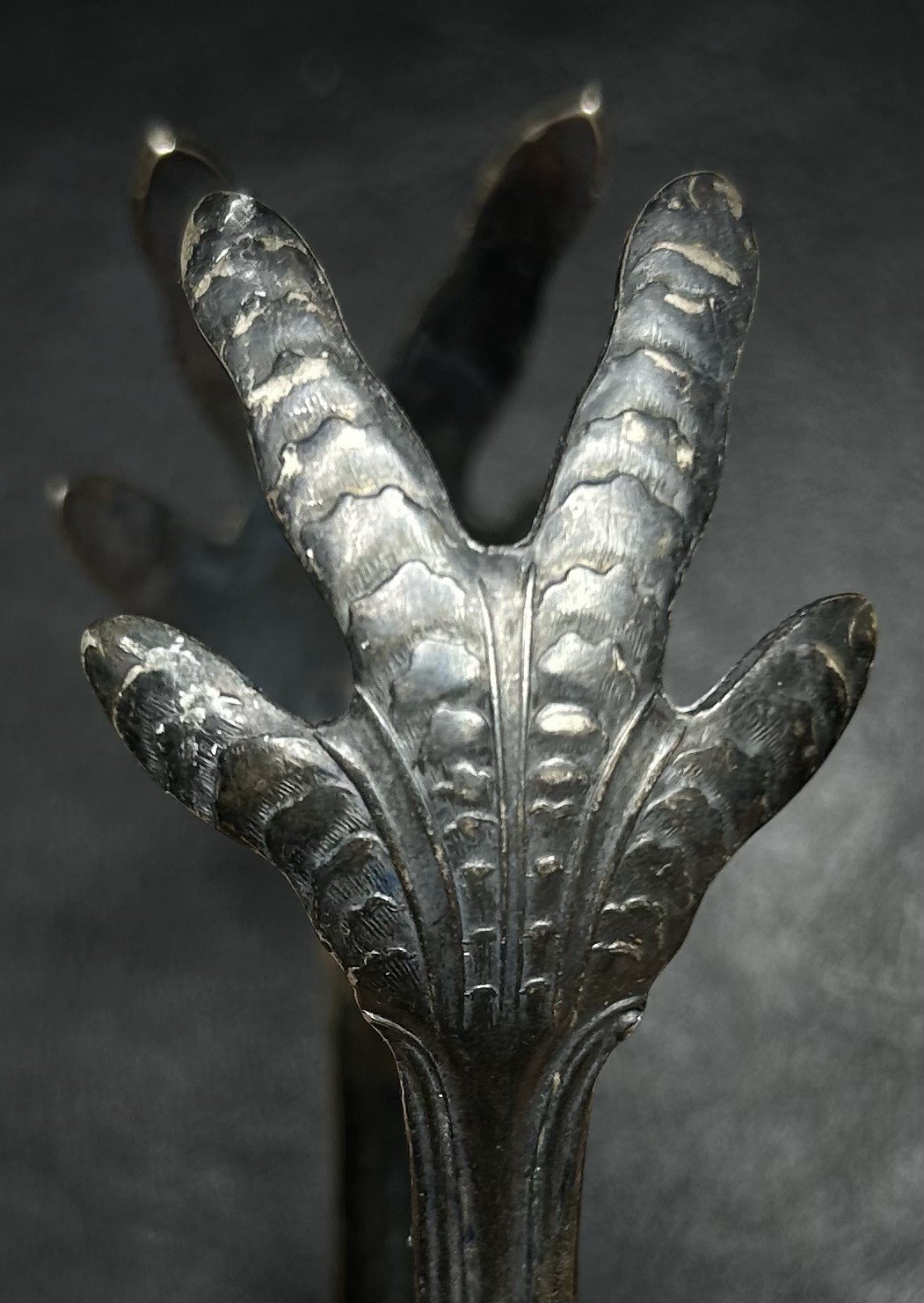 ANTIQUE Victorian American Silver Signed 7” Claw Sugar Tongs