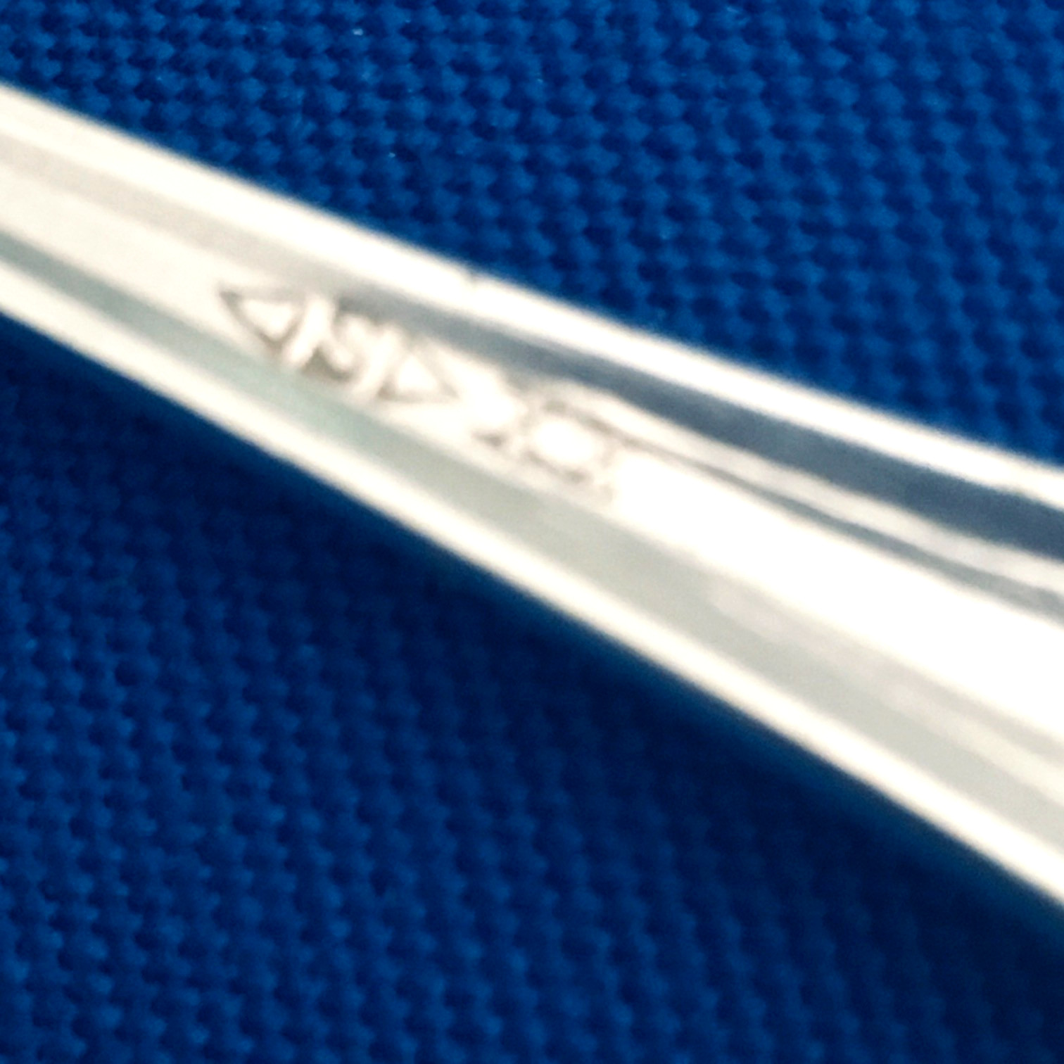 National Silver co c1904 HOLLY silverplate 9 1/4″ berry Casserole Serving spoon
