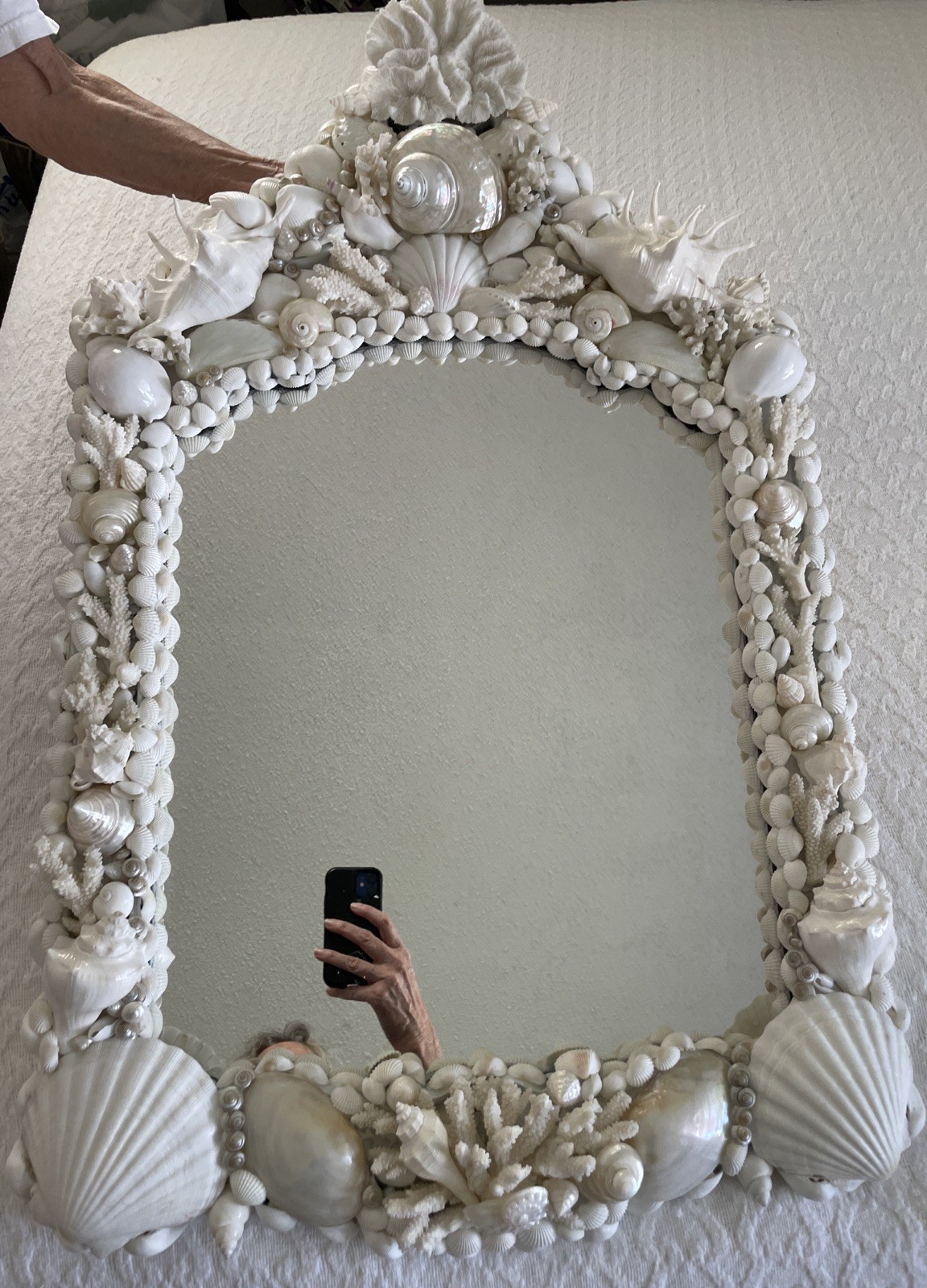 Luxury OOAK Artisan Seashell Mirror 33×20 Real Coral Fine Coastal Statement