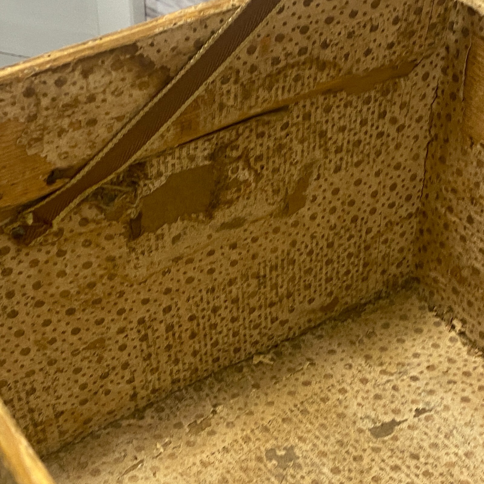 John Woodson Exeter ANTIQUE HIDE COVERED STAGECOACH TRUNK Newspaper Lined VTG