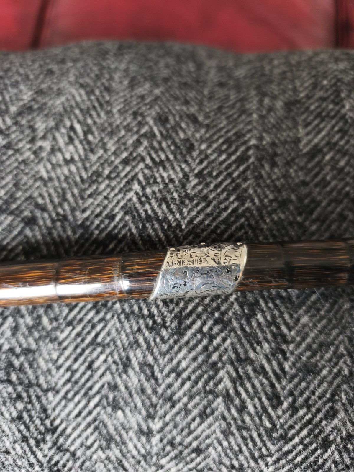 Cane Silver Walking Stick