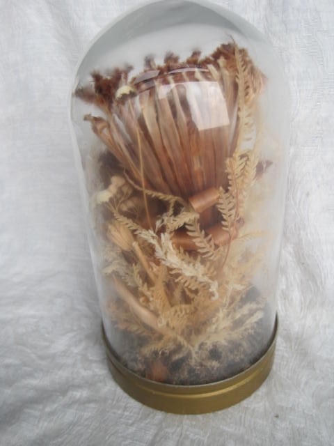Vintage Cloche Dried Flowers Glass Dome 12” Tall