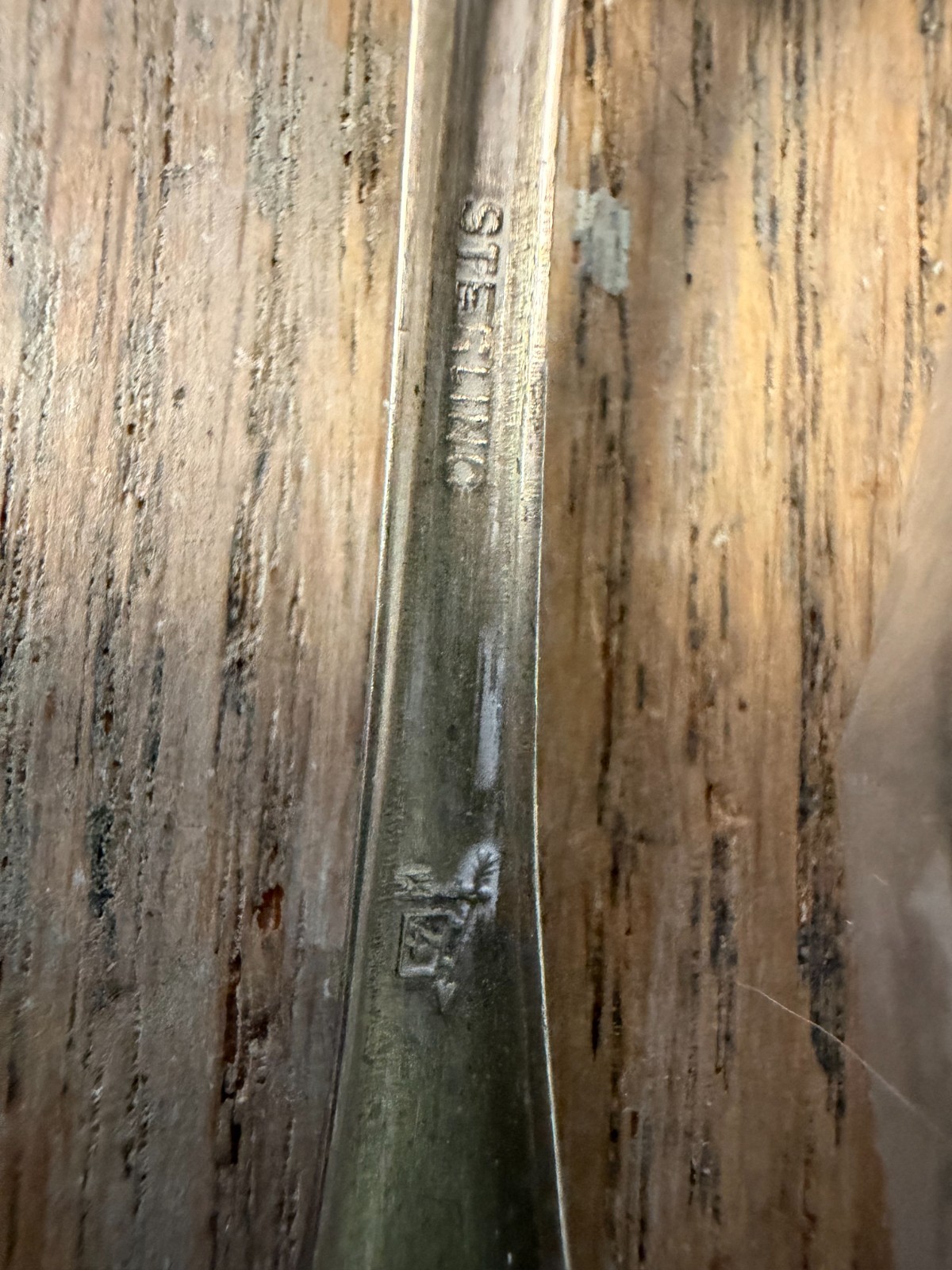 Vintage STERLING SILVER North Carolina Souvenir 4.5″ Spoon DOGWOOD