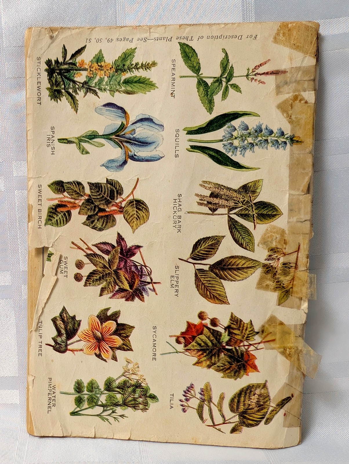 1933 THE HERBALIST ALMANAC PAPER REFERENCE BOOK NATIVE AMERICAN COVER NATURE