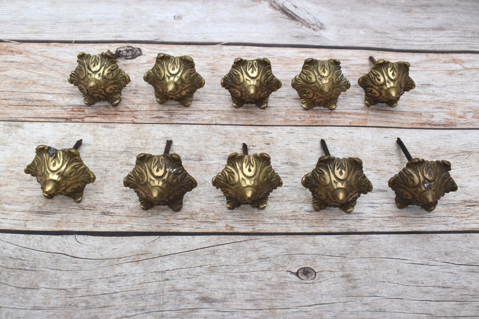 Vintage Style Brass floral Head furniture Door nails farm barn House decor 10 Pc