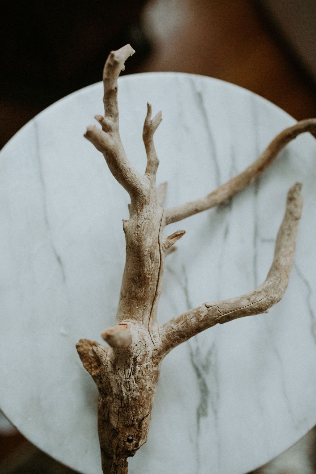 Driftwood