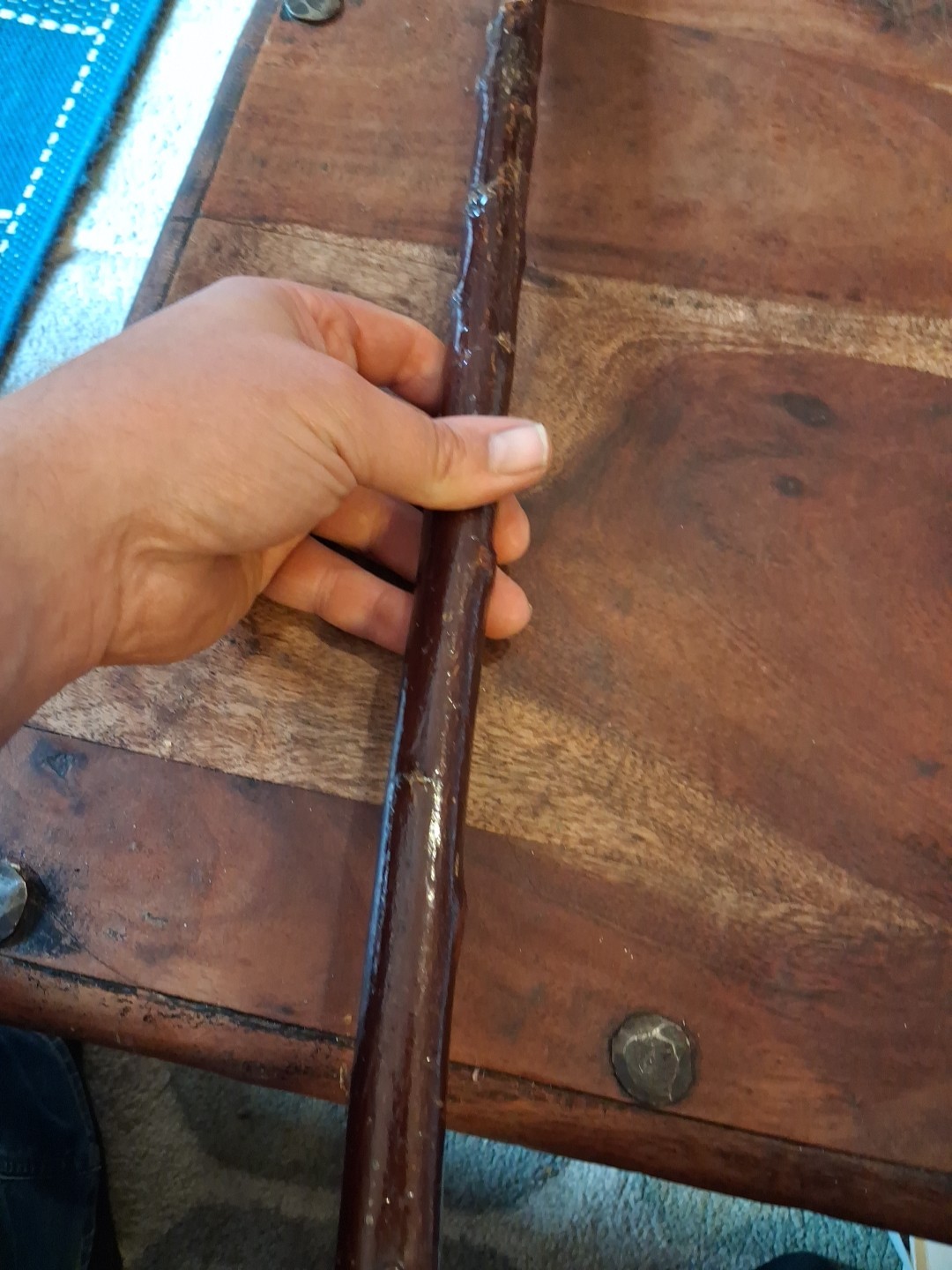 Rams Horn Shepherds Crook, 117cm
