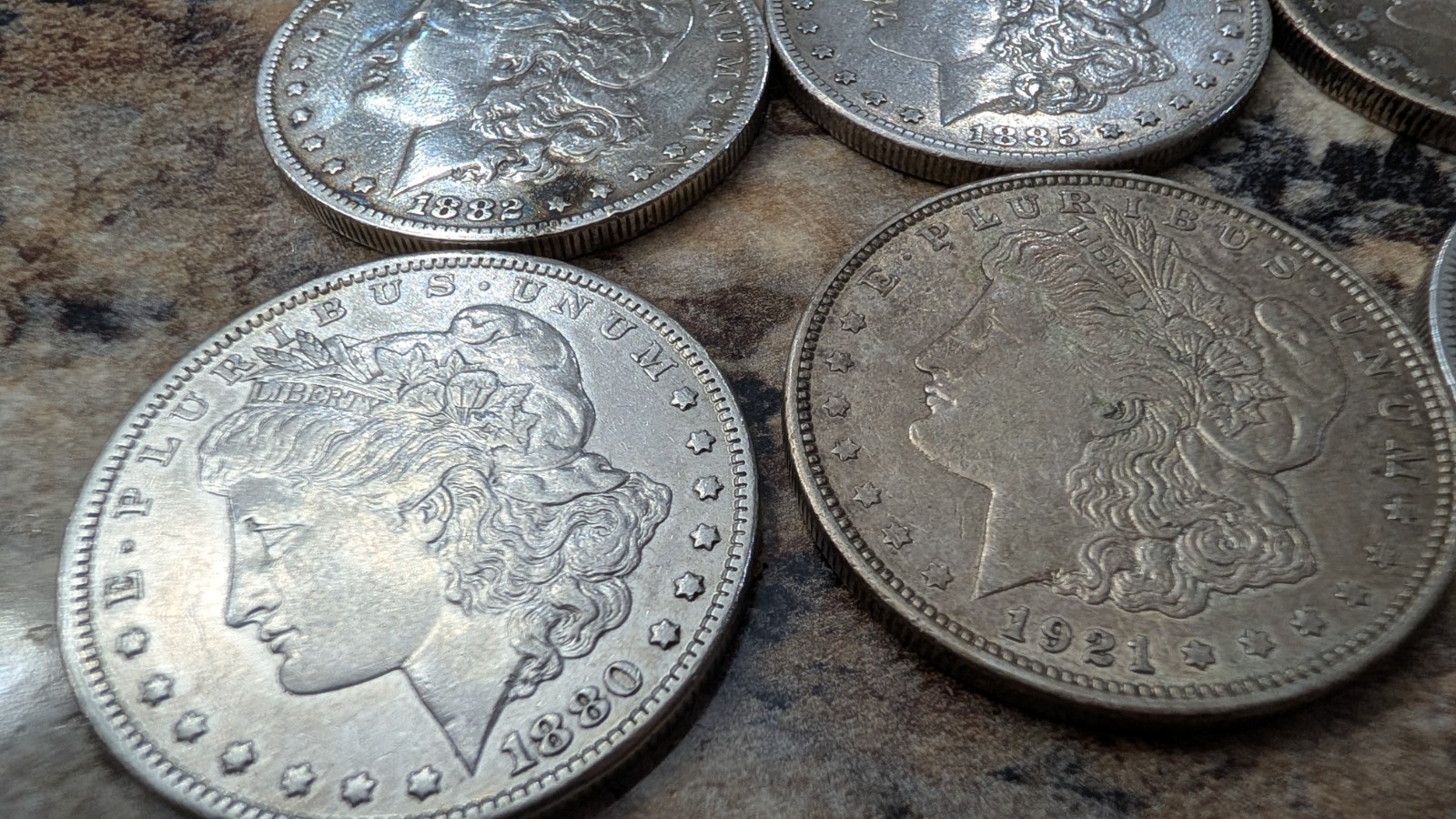 6 Morgan Dollars