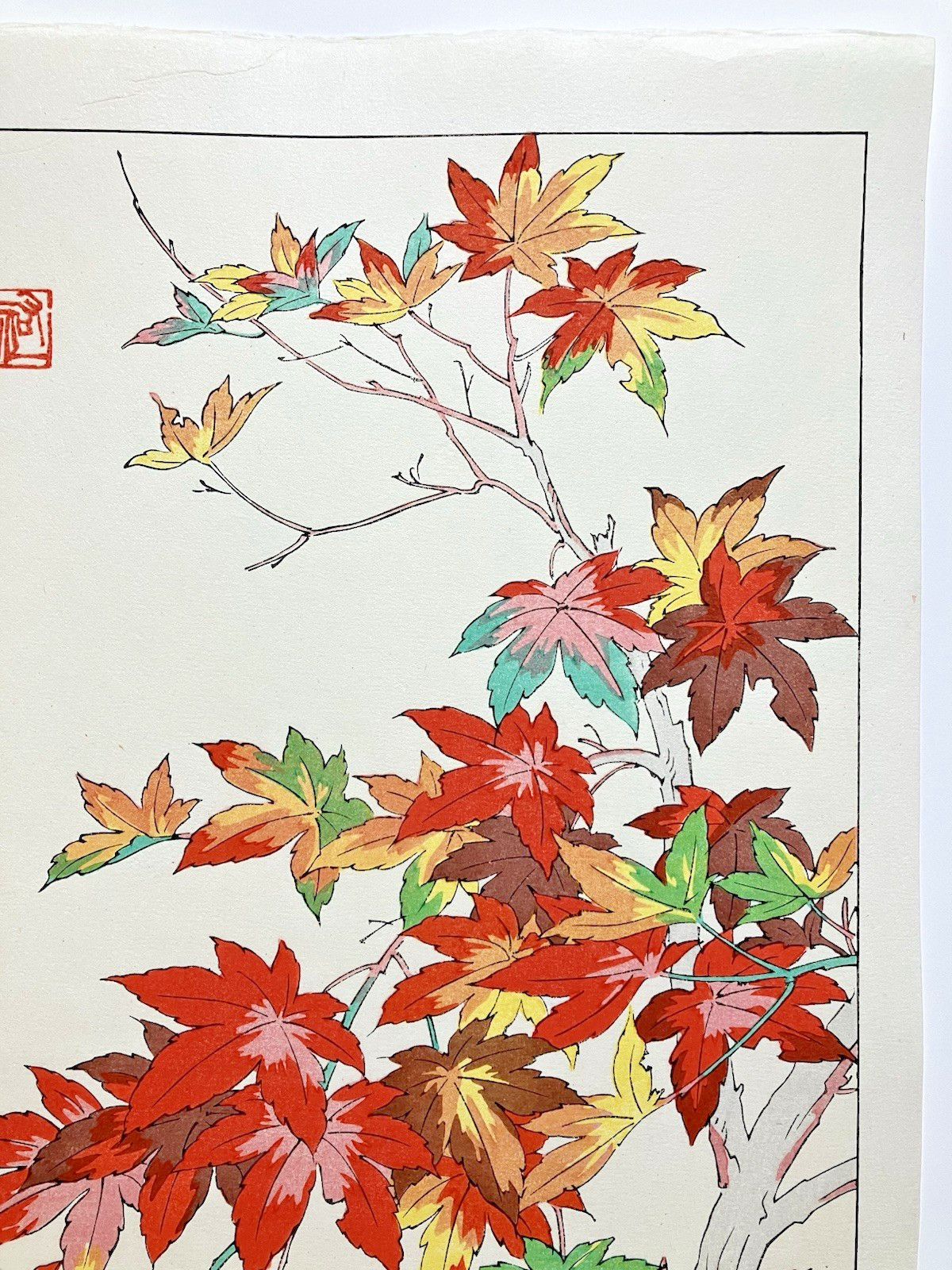 Yuichi Osuga Woodblock Print “Maple” Kyoto Unsodo Flower Prints