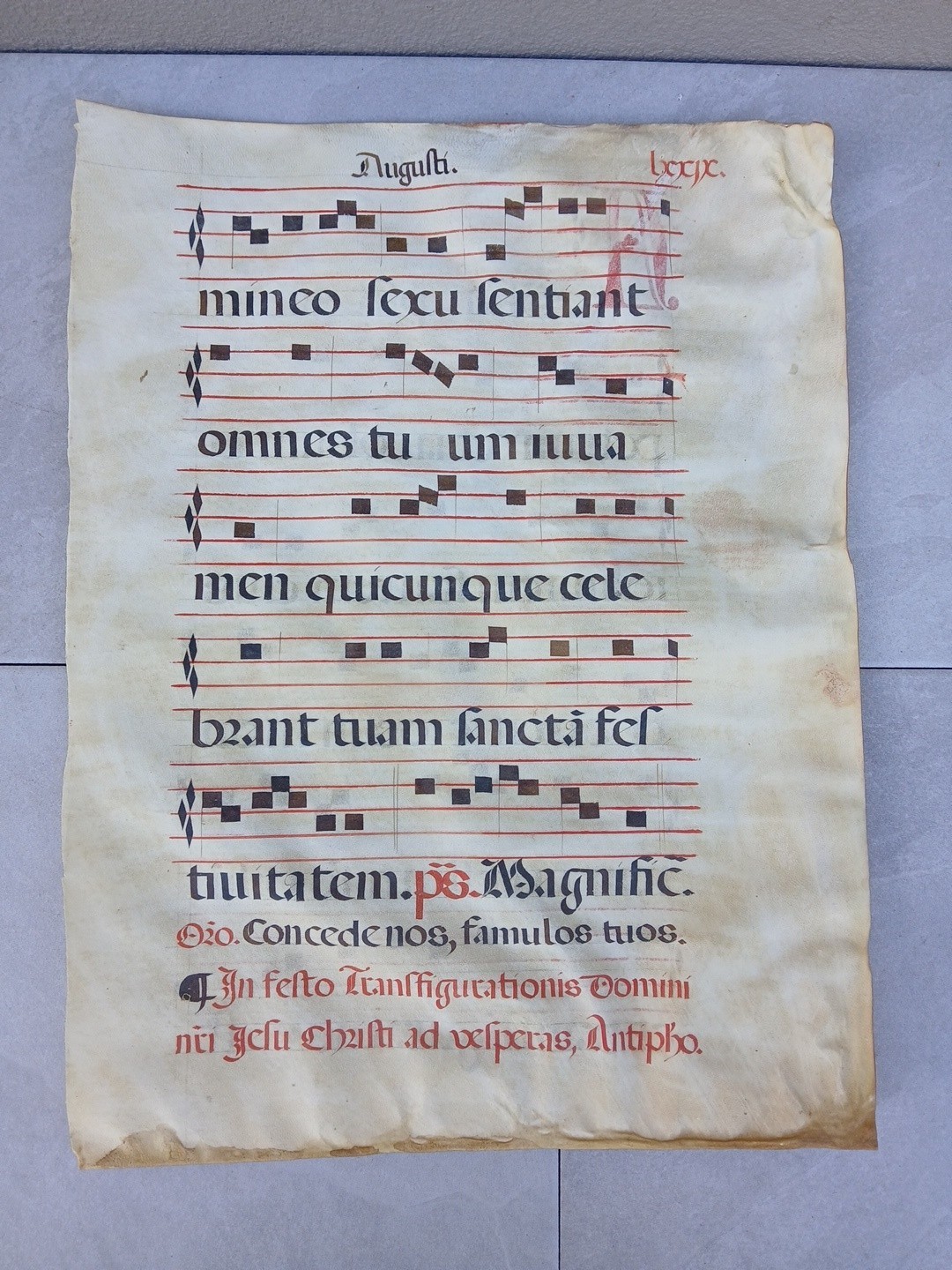 Antique Original Gregorian Chant On Vellum Double Sided 14.5×19″
