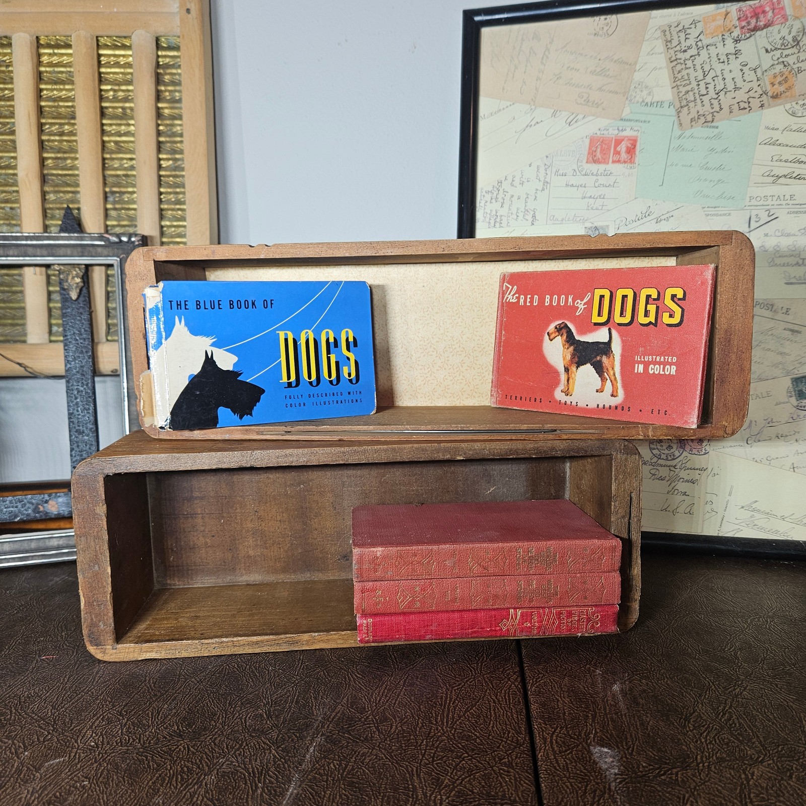 Red and Blue Book of Dogs Set 1930s Illustrated Dog Books