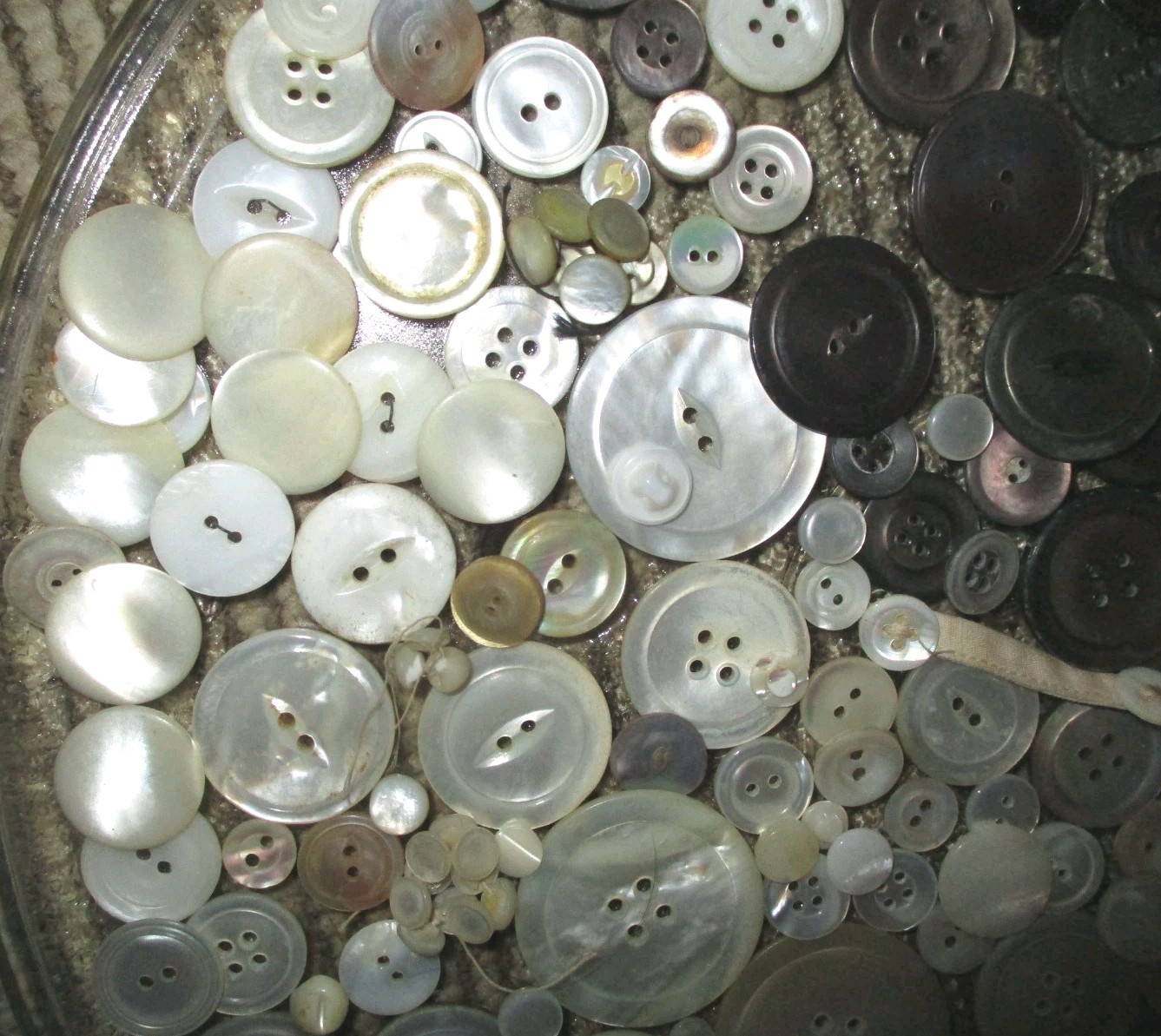 HUGE LOT ANTIQUE MOTHER OF PEARL MOP BUTTONS – SEW-THRU – IVORY SILVER PINK