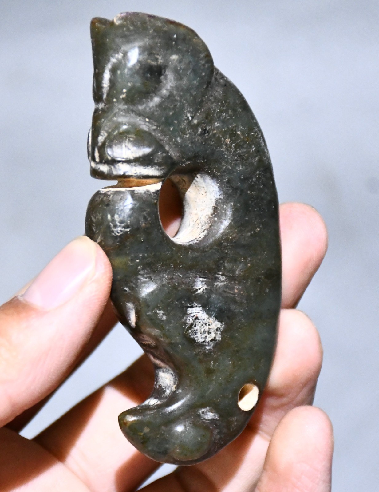 3”China Hongshan Culture Carved Yu Pig Dragon Hook Gou Bird Head Amulet Pendant