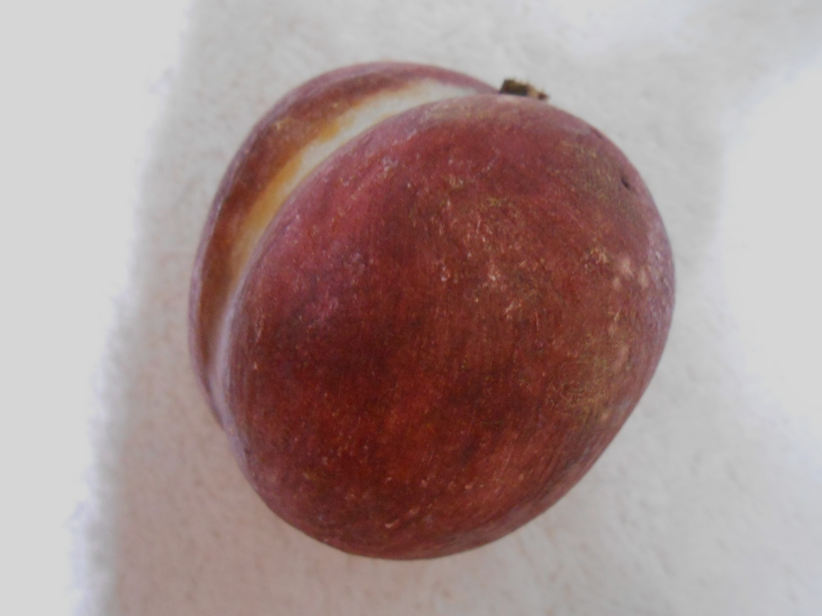 Antique Alabaster Stone Fruit PLUM c.1900-49
