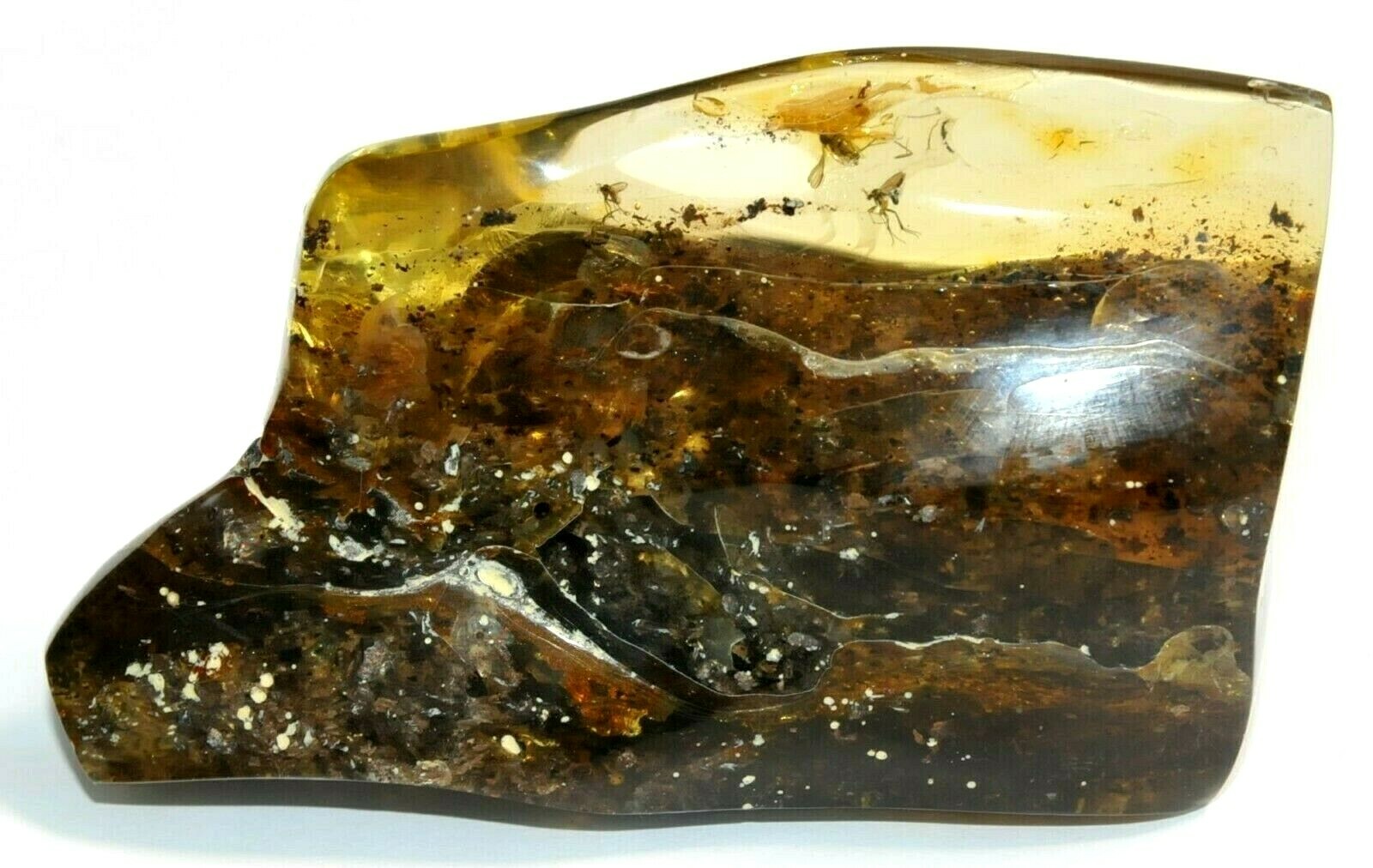 118gr RUSSIAN SOVIET RARE BALTIC SEA INSECT AMBER GEMSTONE 老琥珀 KALININGRAD ROCK