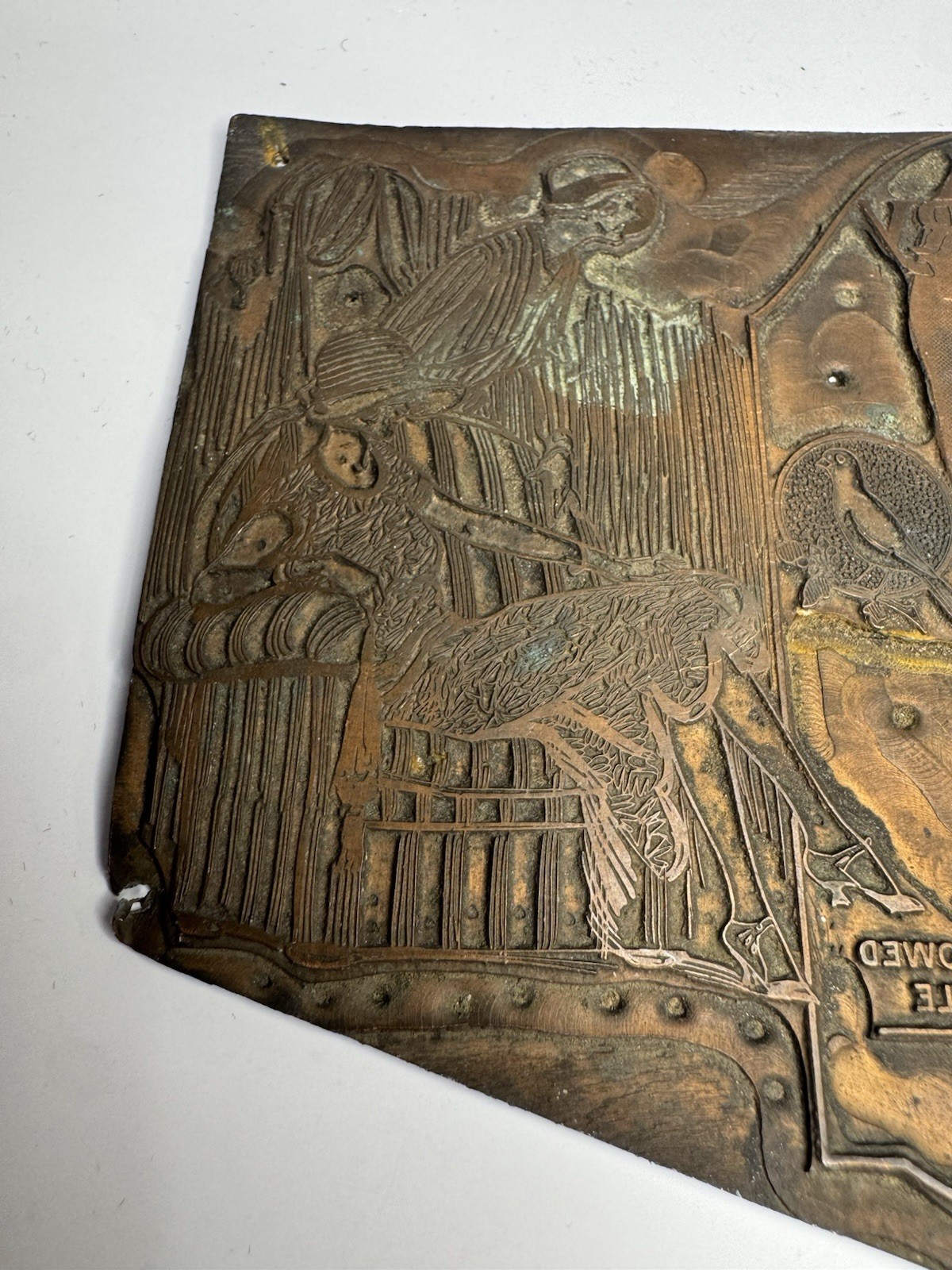 Antique Copper Printing Plate Stocking Advertisement Flapper Canary Girl Bird