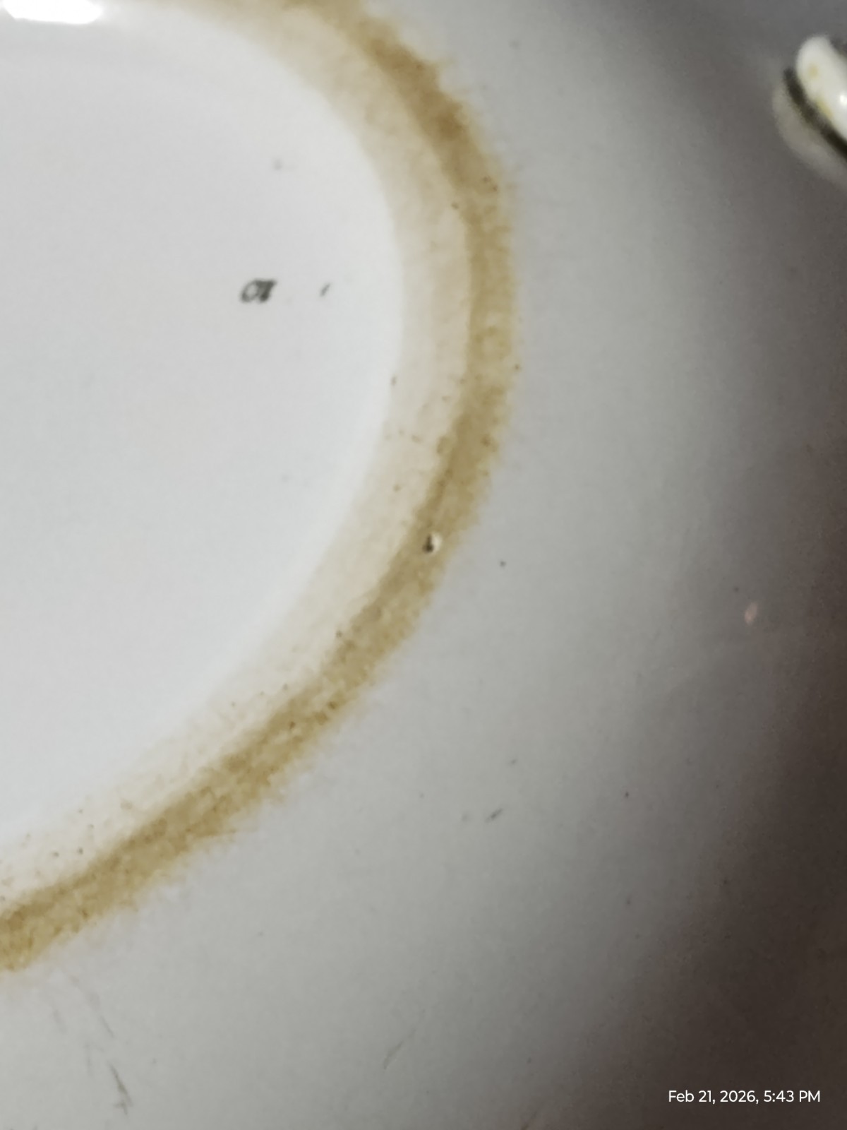 Antique 19c BWM & Co. Alexandra Pattern Chamber Pot From Staffordshire England
