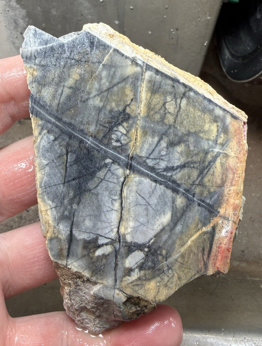 Utah Picasso marble/jasper rough slab lapidary
