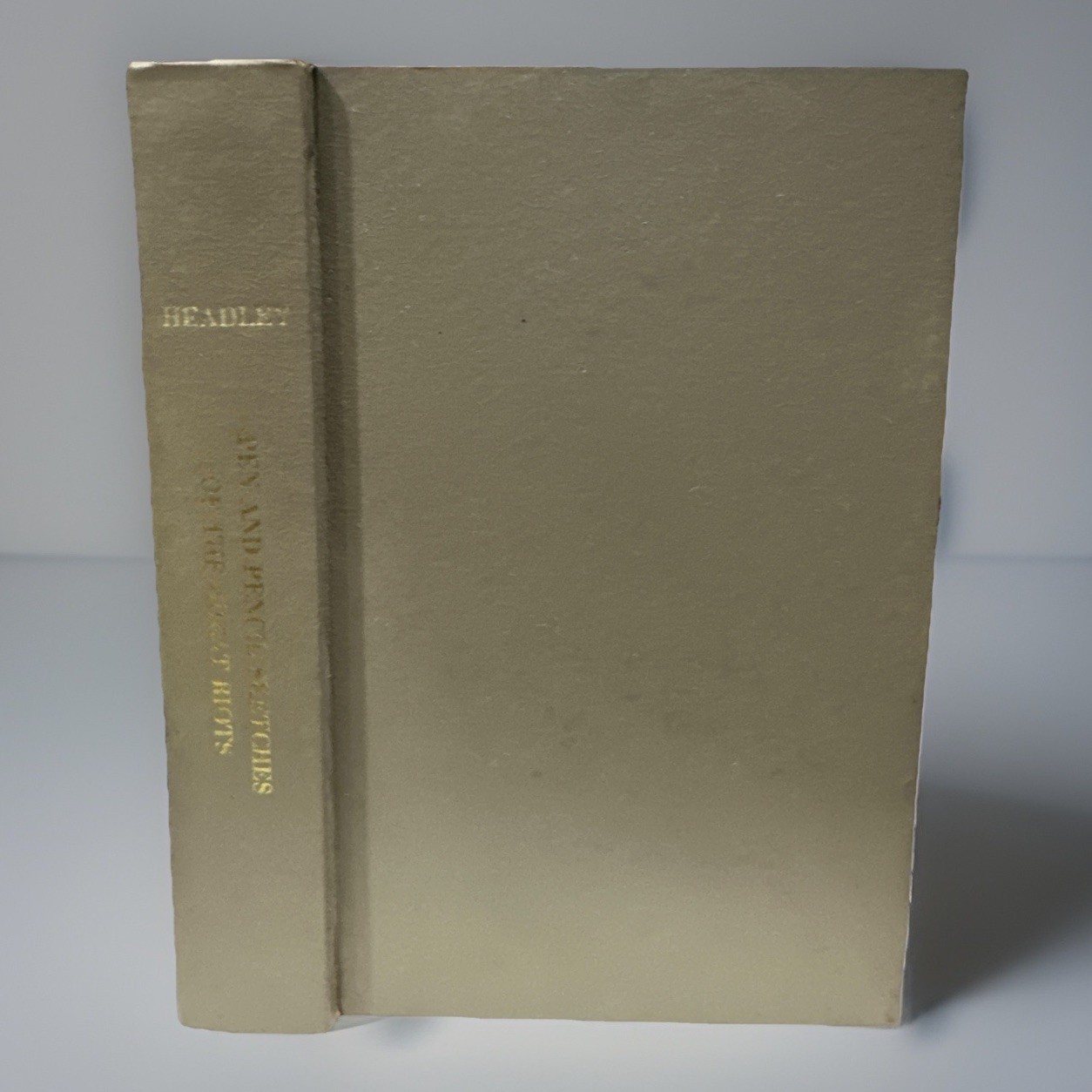 Pen And Pencil Sketches Of The Great Riot By JT Headley 1877 (Reprint 1969) HC