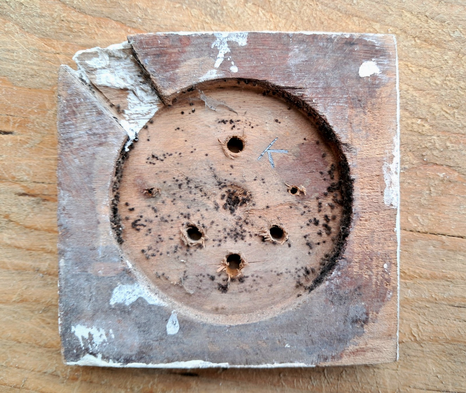 Vintage 1930s Wooden Pattress for Dolly Light Switch Period House Shabby #K