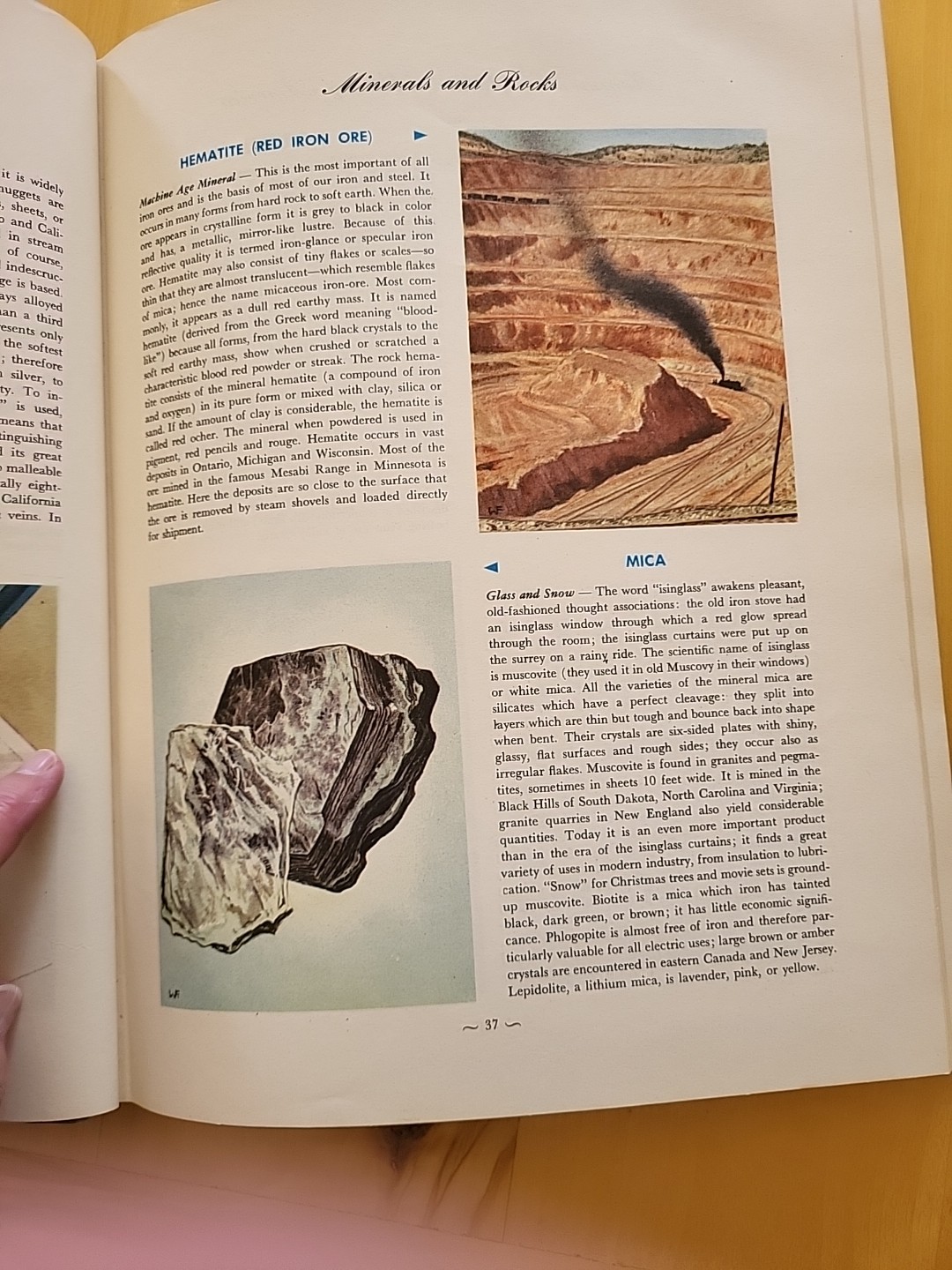 Vintage 1952 Oversized Biology Reference Book: Hammond’s Nature Atlas Of America
