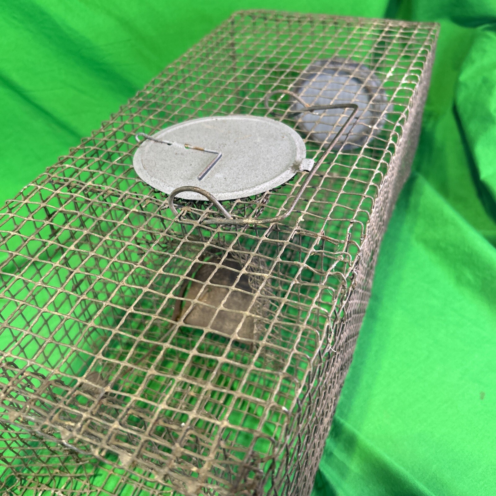Vintage 8″ x 18″ Metal Wire Small Live Animal Bait Carry Cage Old