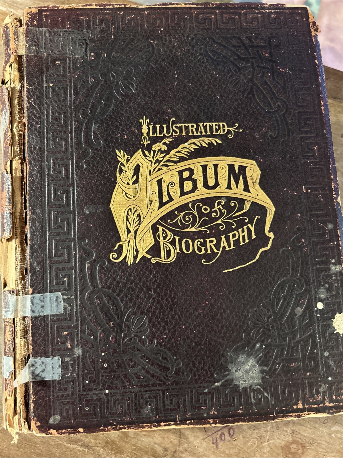 Illustrated Biography Album 1898 Compendium Of Local Biography