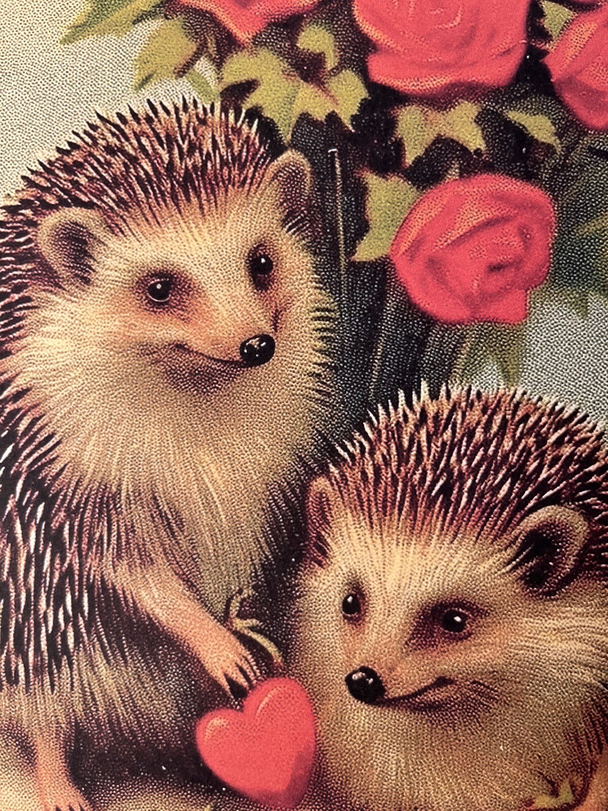 Valentine Animals: Hedgehogs #3 Print, Artist Canvas Board Sign