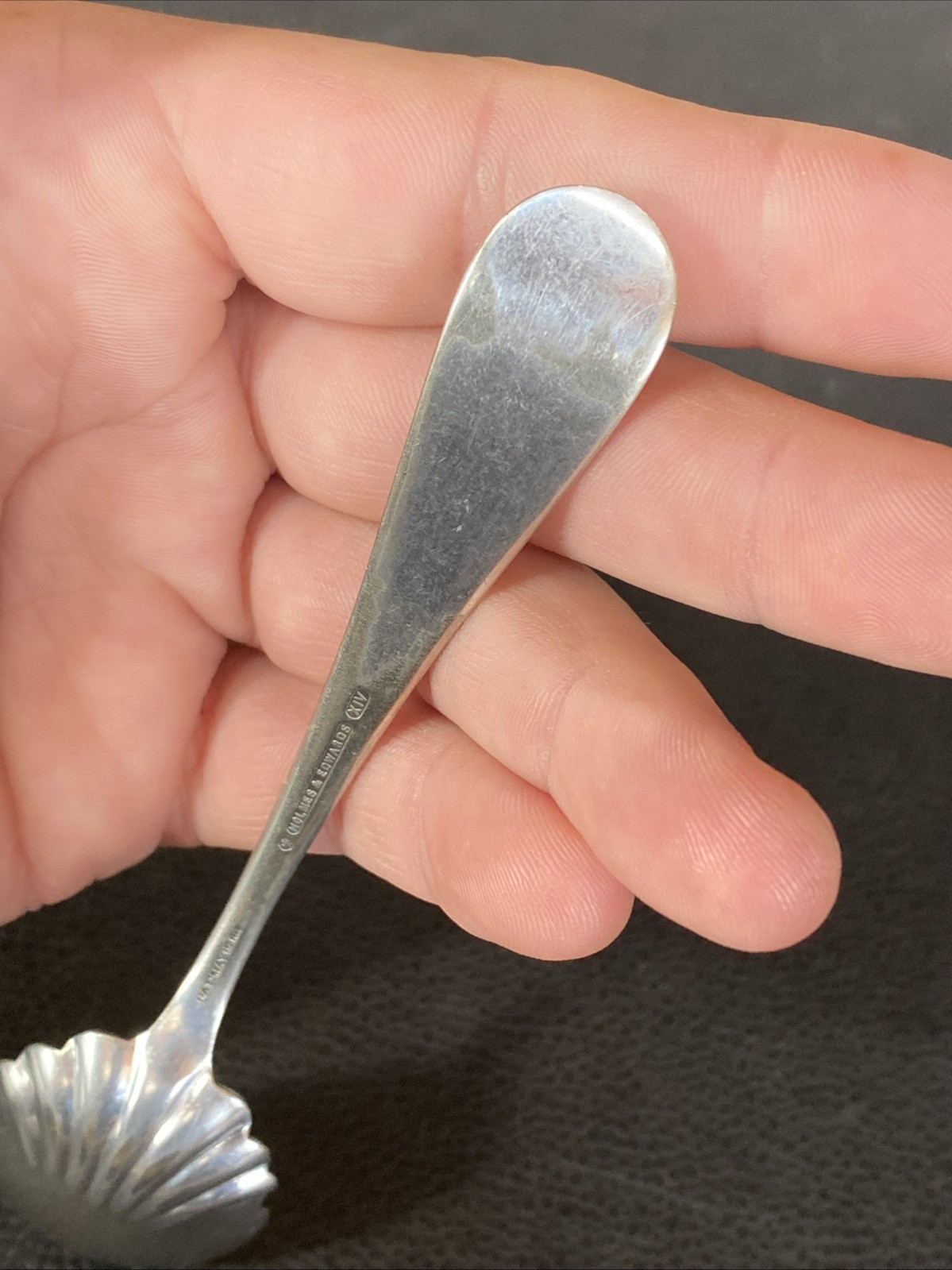 1888 Mayflower Daisy Ruby HOLMES & EDWARDS XIV Silver Plate Sugar Shell Spoon