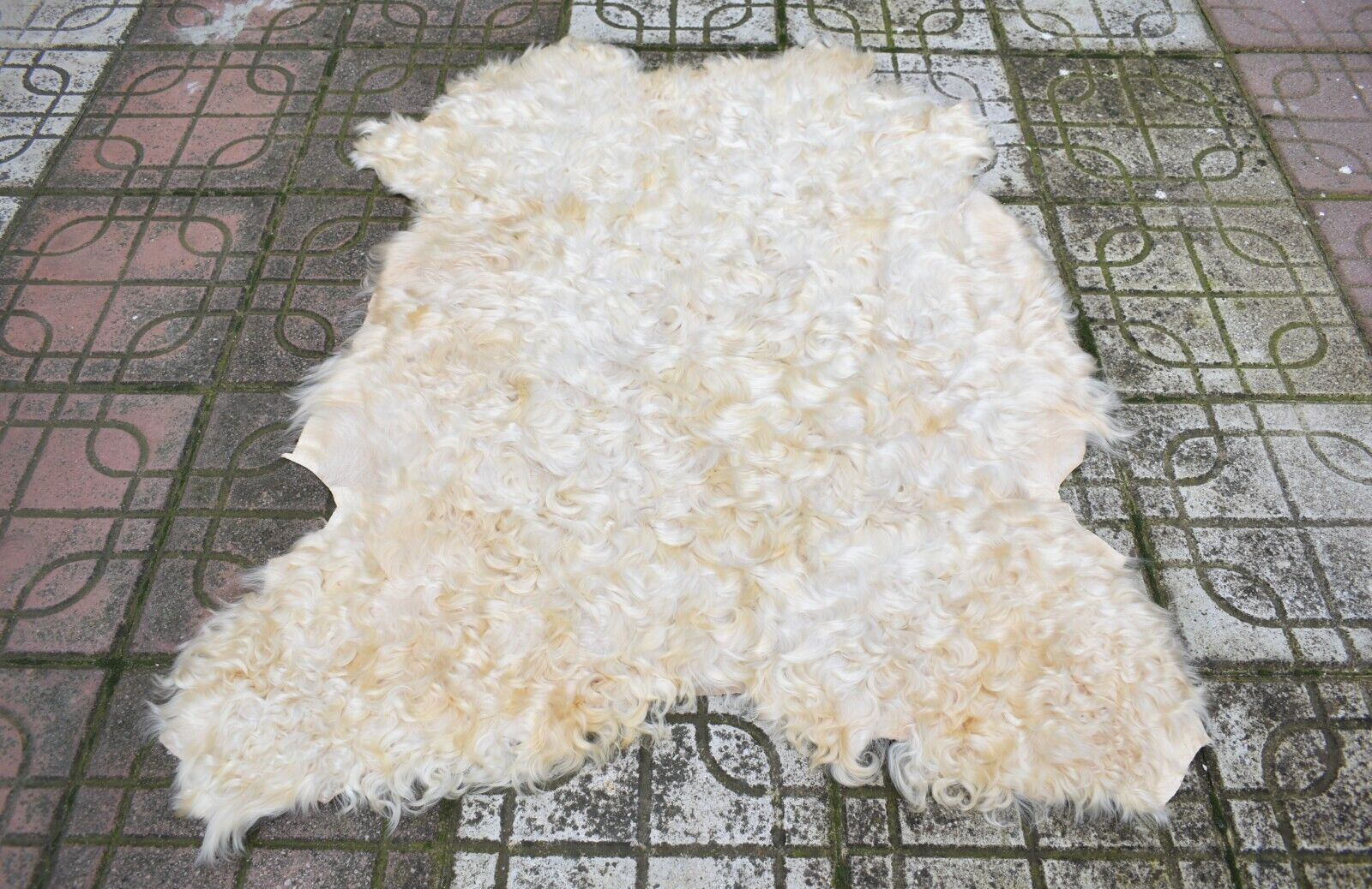 Angora Goat Leather Goatskin Fur 2 x 3 ft Pelt Hide 100% Natural Goat Skin Rug