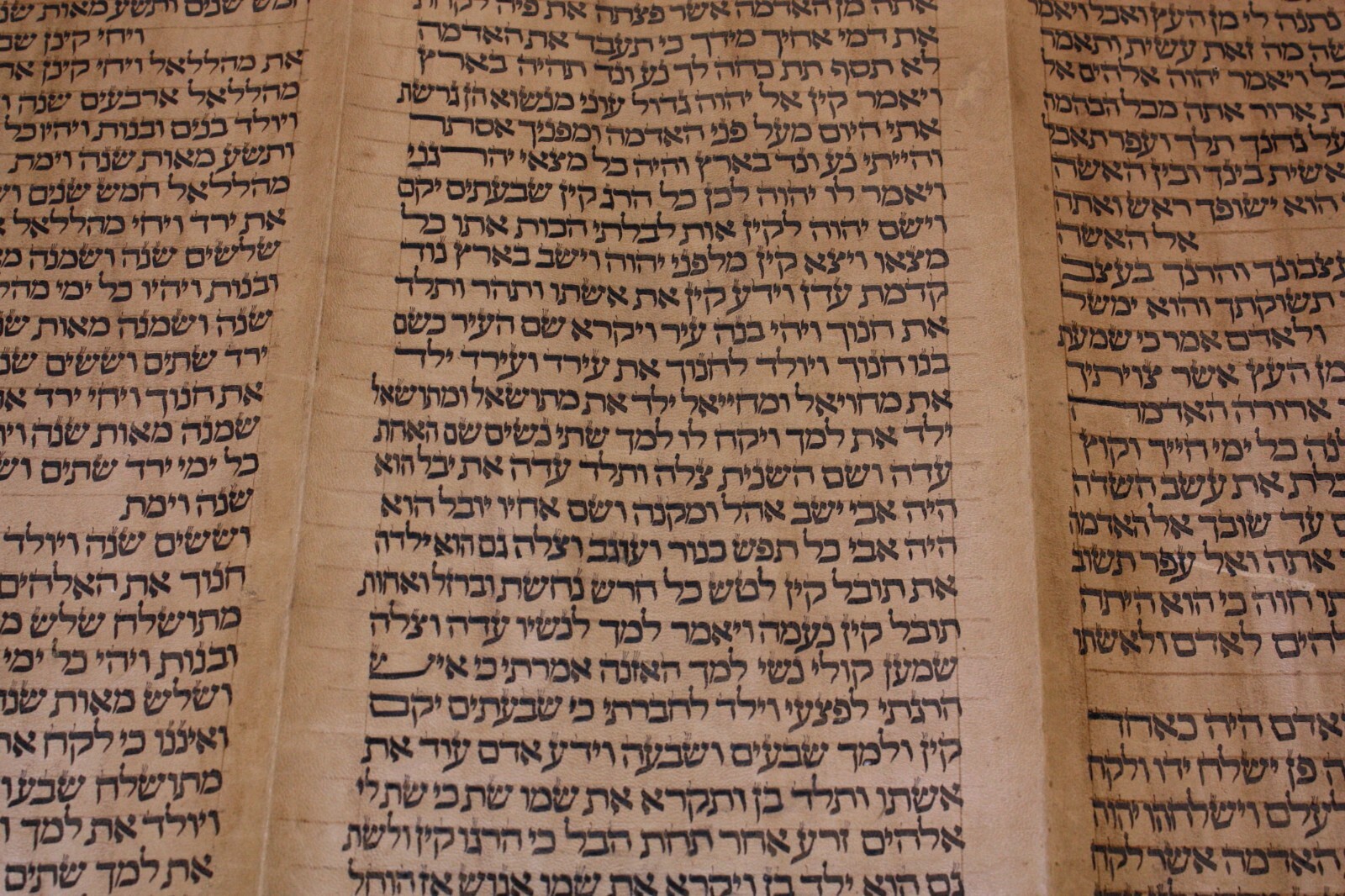 ANCIENT COMPLETE TORAH BIBLE MANUSCRIPT SCROLL DEER PARCHMENT 450 YRS ITALY