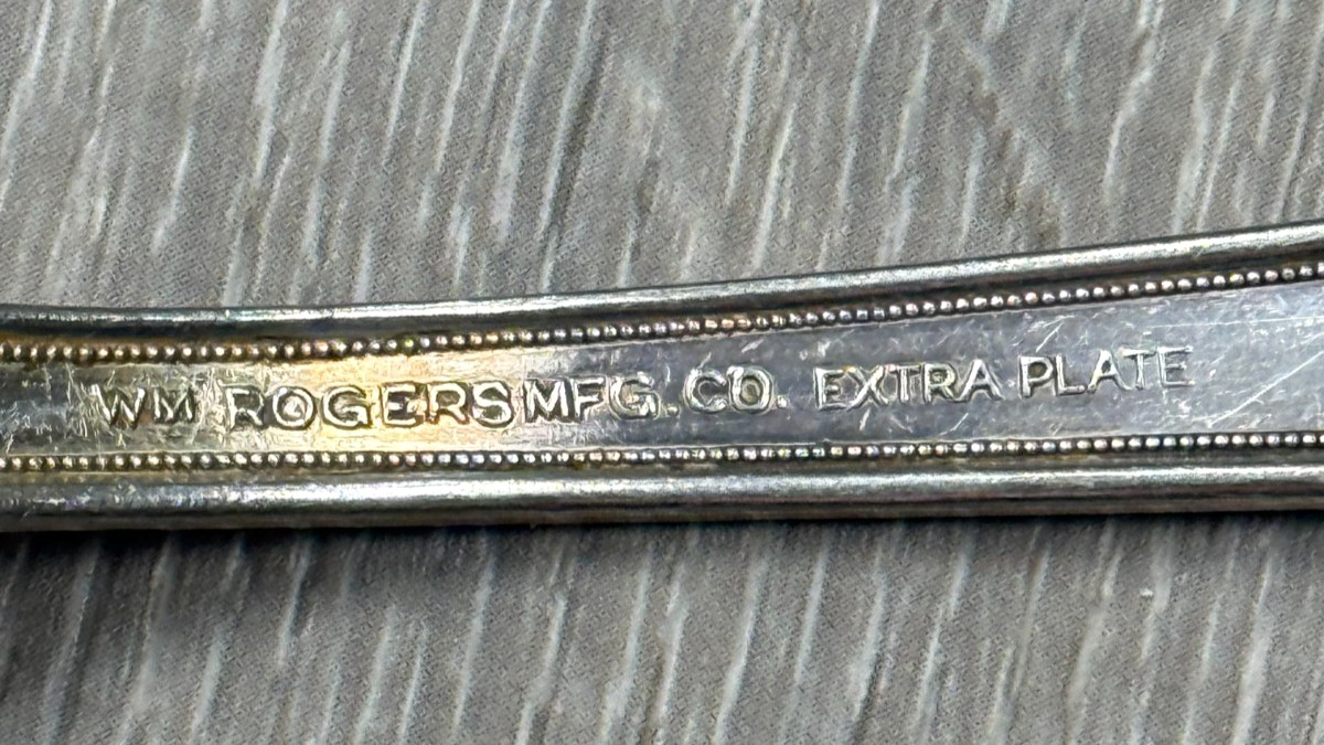 Wm Rogers Mfg Co Original Serving Spoon Chalfonte Extra Plate Silverplate VTG