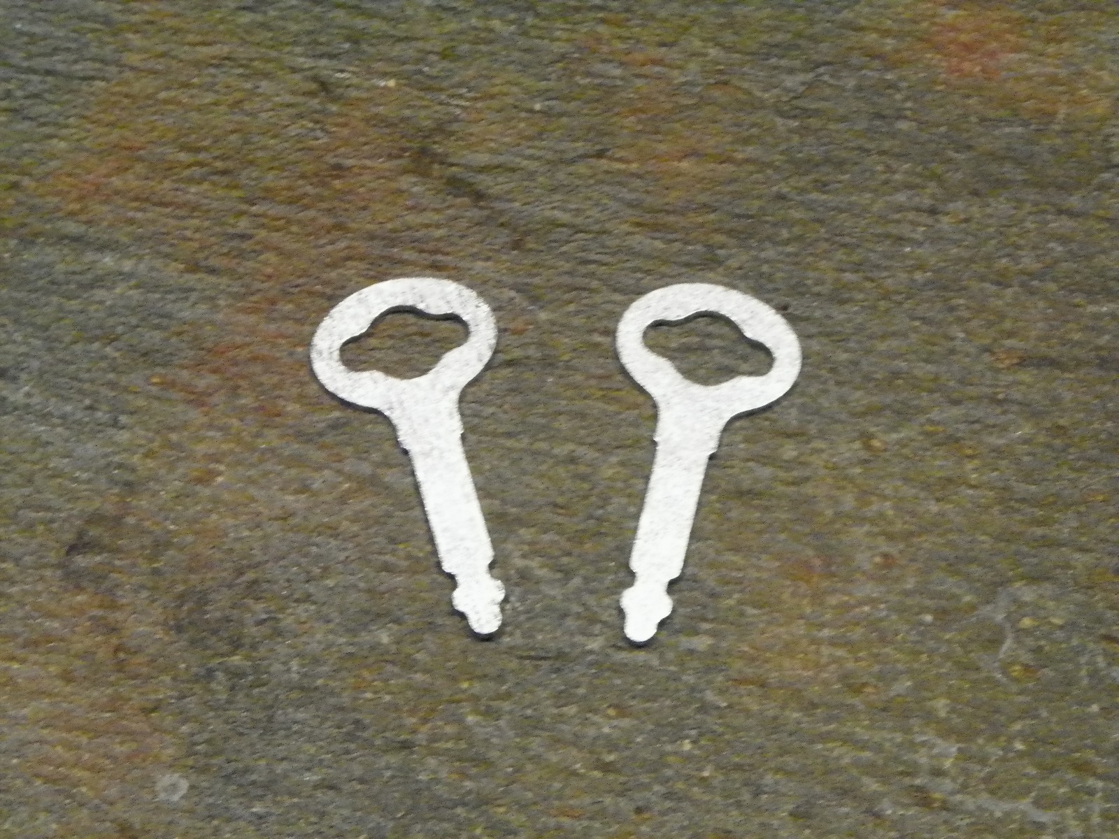 Pair of Keys For Bentwood Case Vintage Singer Sewing Machine Flat Slotted