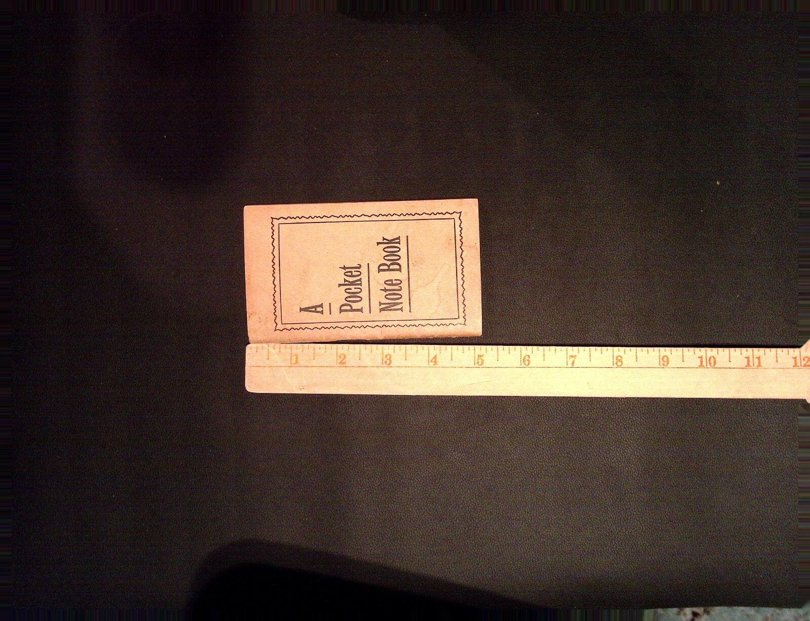 Pocket Note Book Physical Development Dr S. Decker Treible c1910 Medical Guide