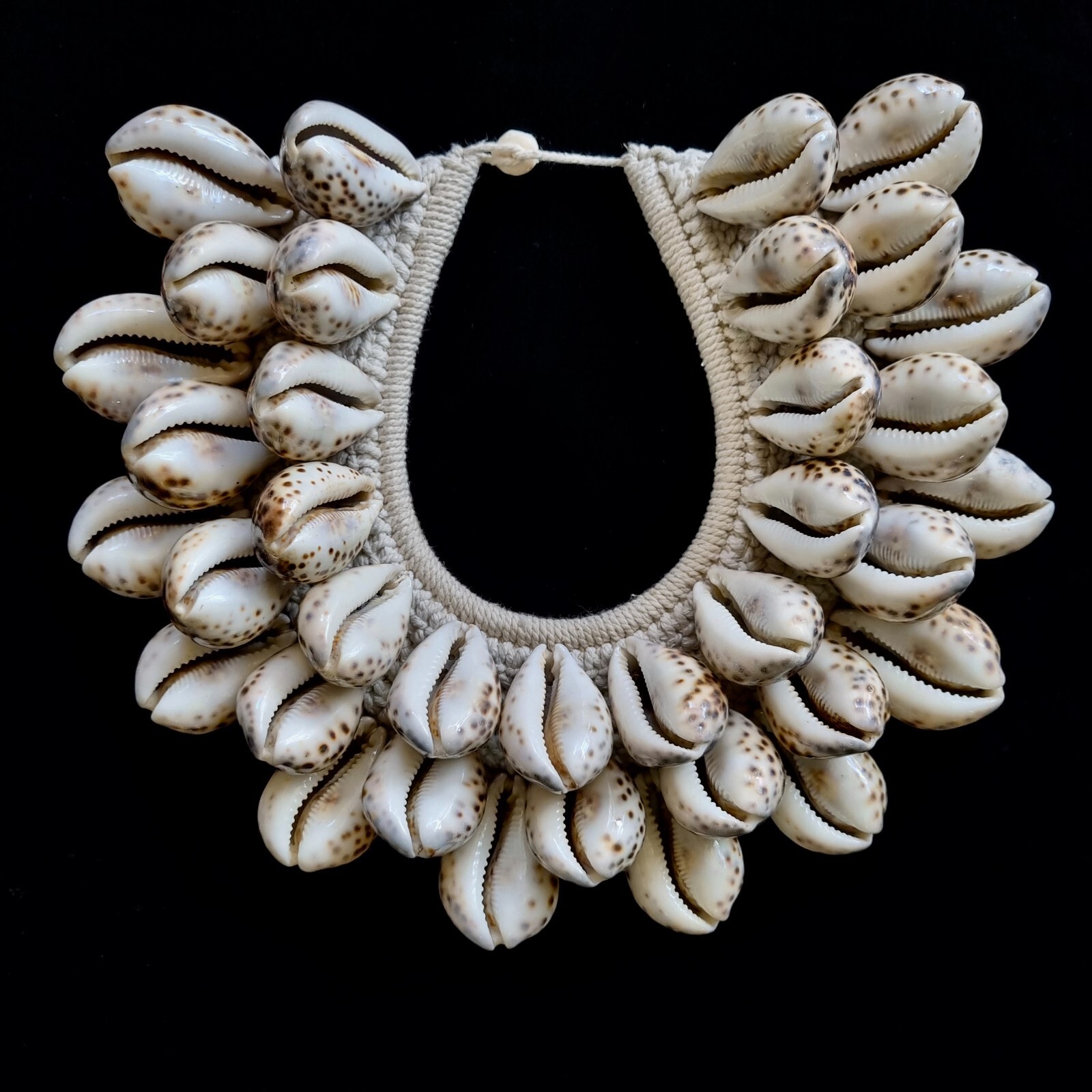 Spotted Cowrie Shell Necklace Women Tribal Fashion Papua New Guinea Fine Art