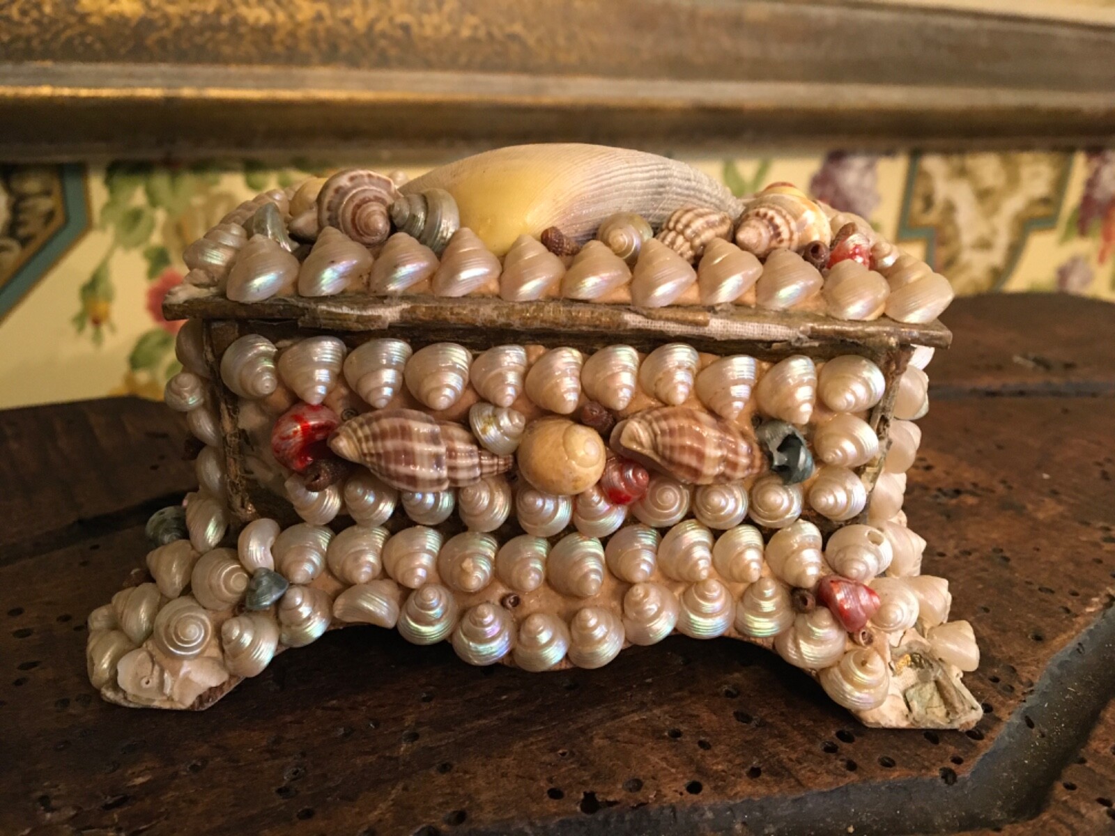 French Sea Shell Art Box Maritime Souvenir South of France