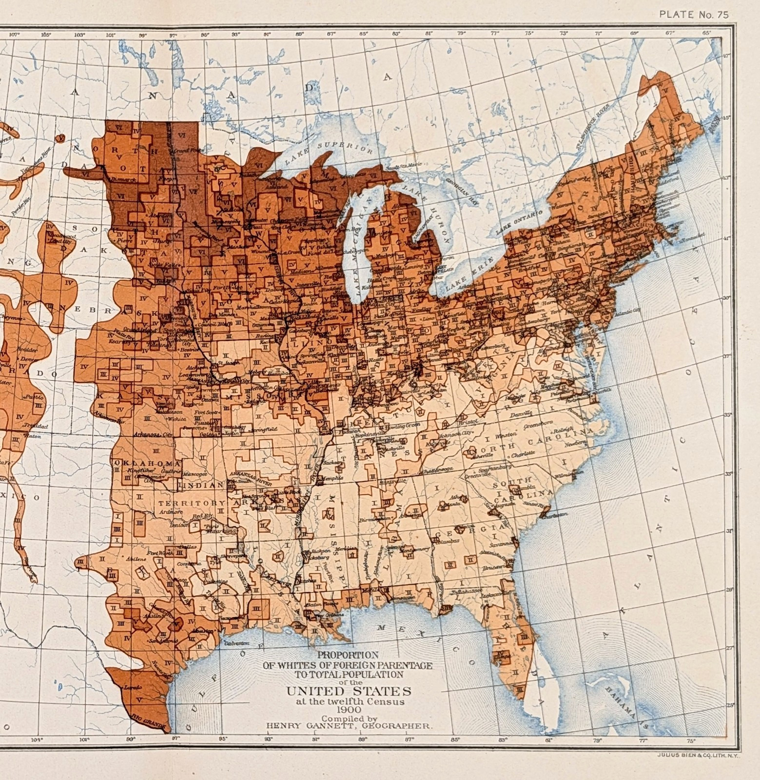 1900 UNITED STATES Whites of Foreign Parentage MAP Original H. Gannett ANTIQUE
