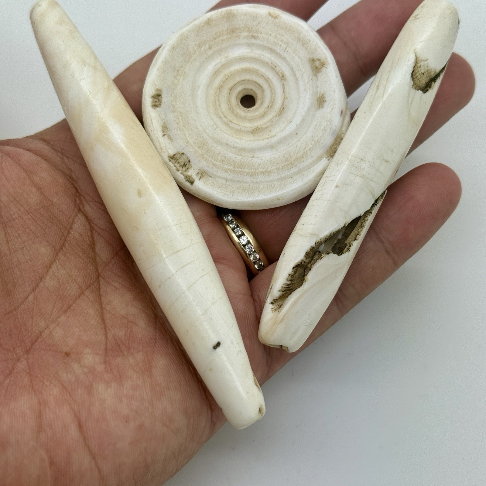 Antique Old Ethnographic Ao Tribe Tribal Ethnic Naga conch shell Beads Necklace